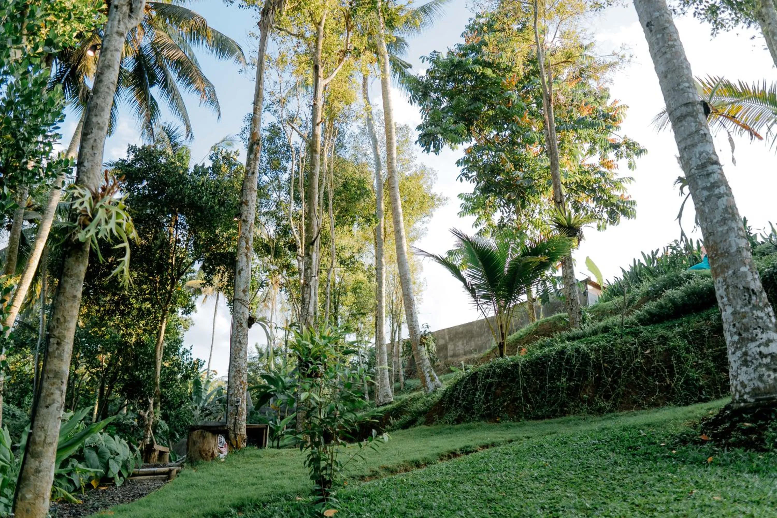 Natural landscape in Bali Made Escape