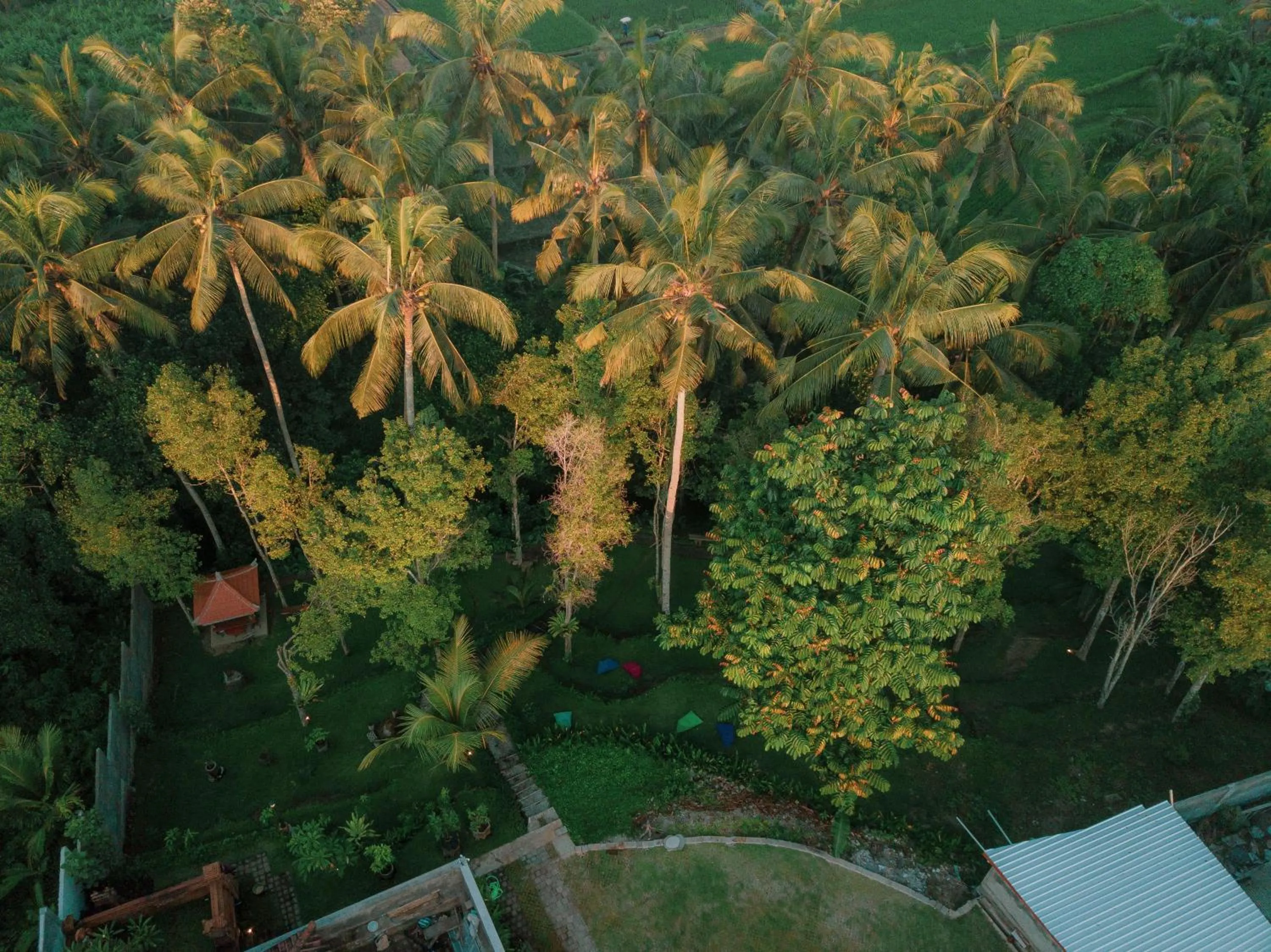 Day in Bali Made Escape