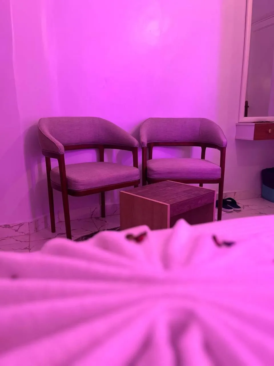 Bed in Future Hostel