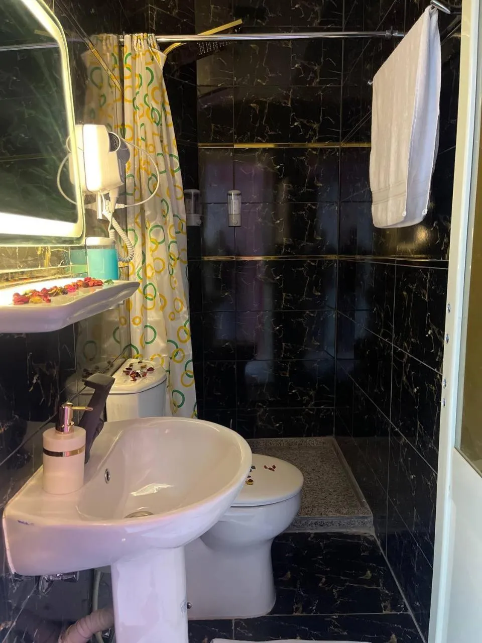 Toilet in Future Hostel