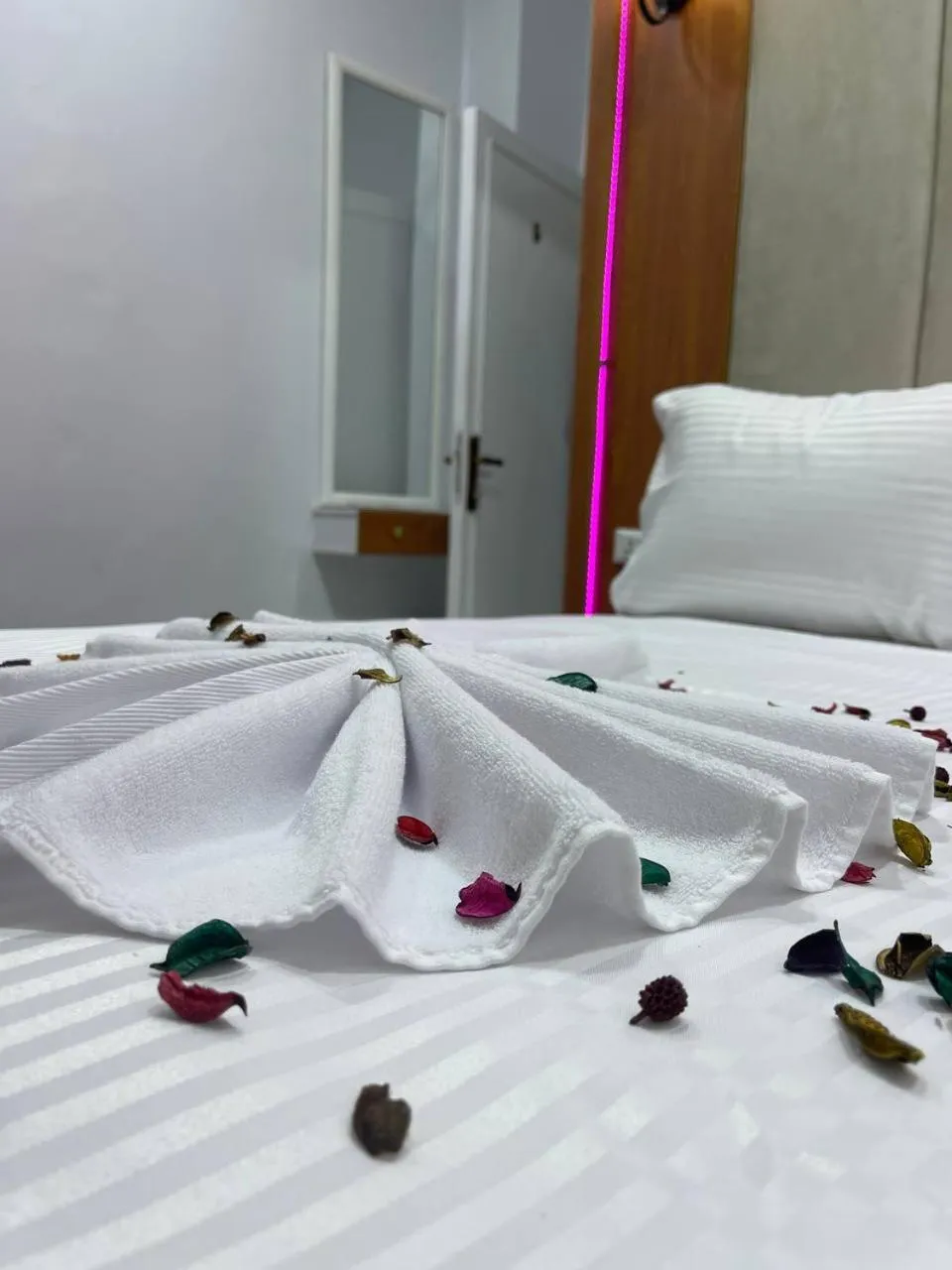 Bed in Future Hostel