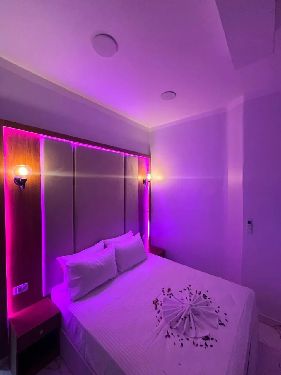 Bed in Future Hostel