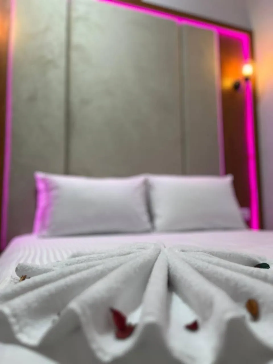 Bed in Future Hostel