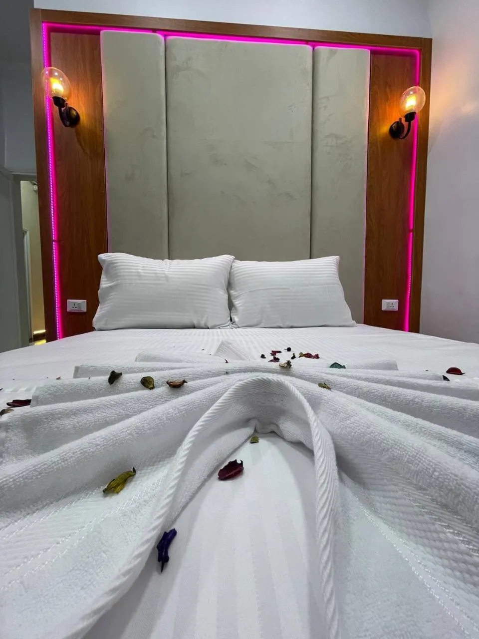 Bed in Future Hostel