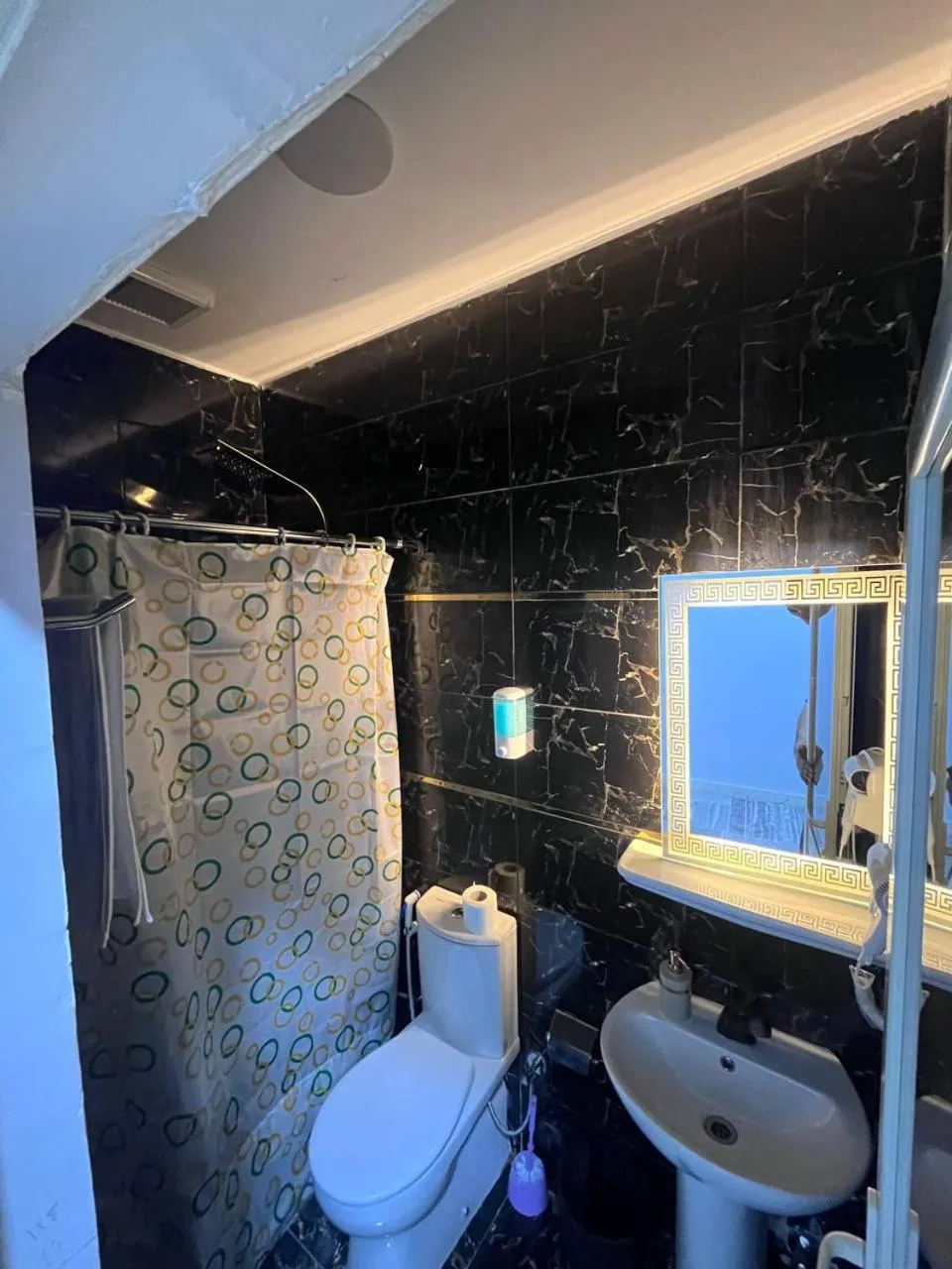 Shower in Future Hostel