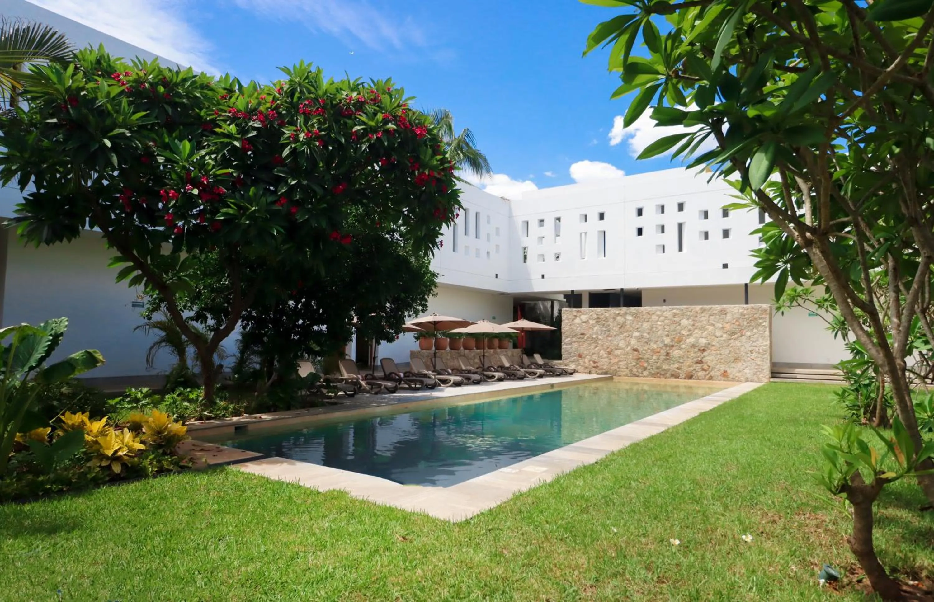 Pool view in Casa Loreto 1893