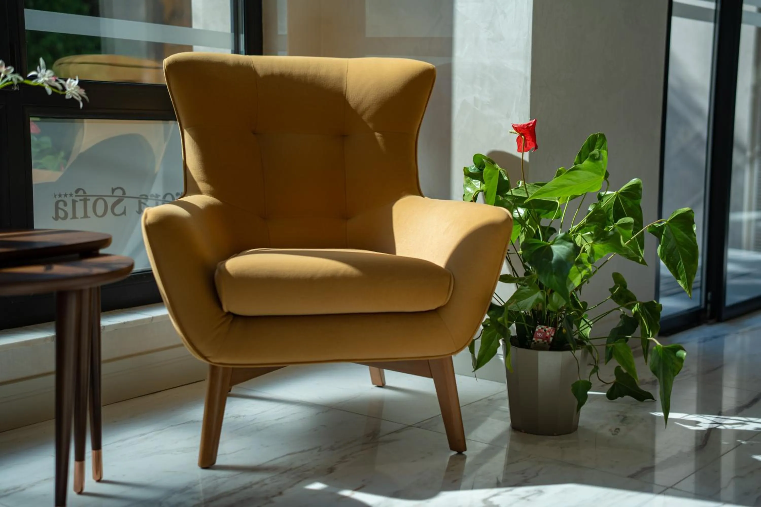 Lobby or reception in Aurora Sofia