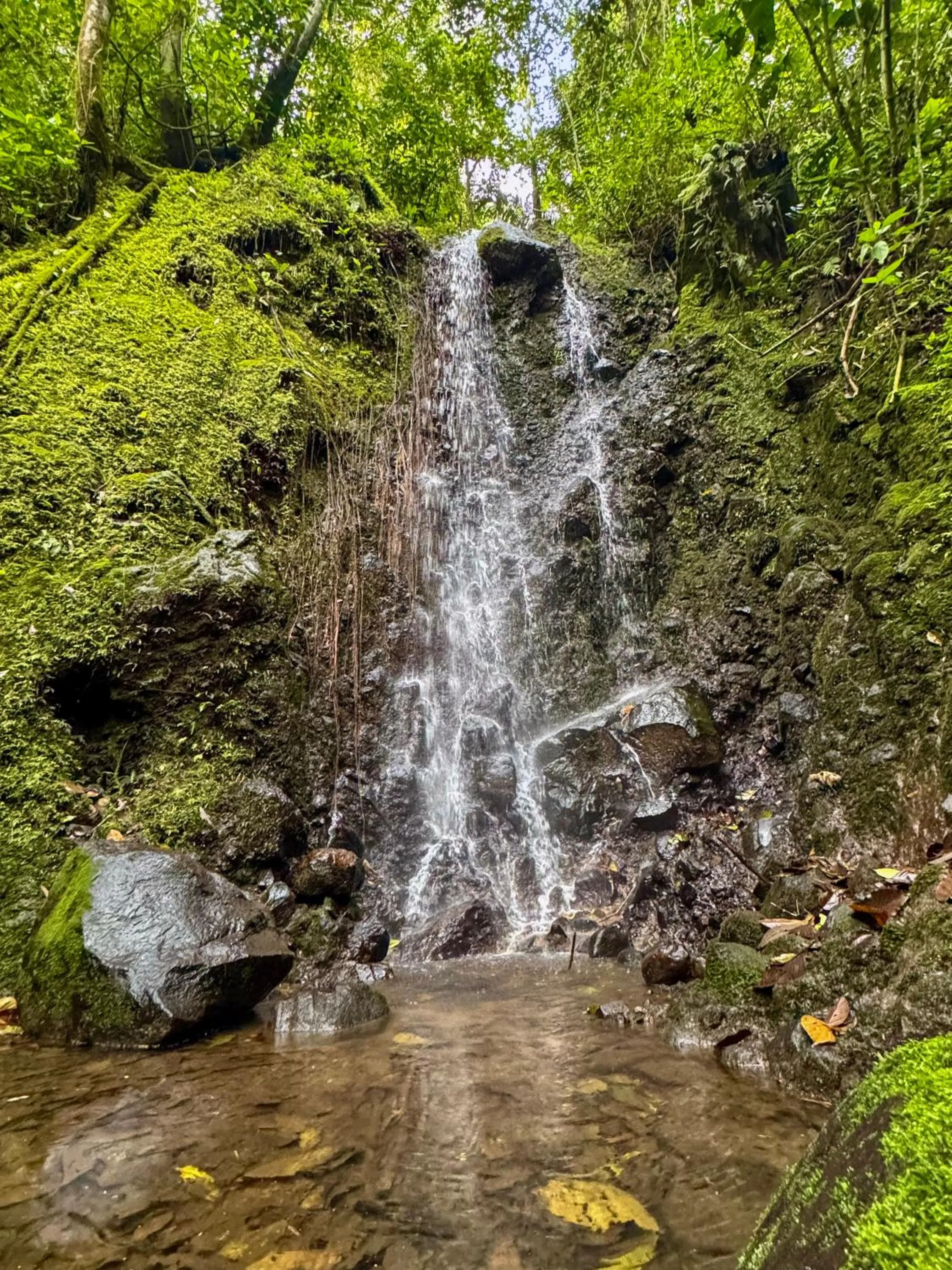 Natural landscape in Tukki Ecolodge Hotel