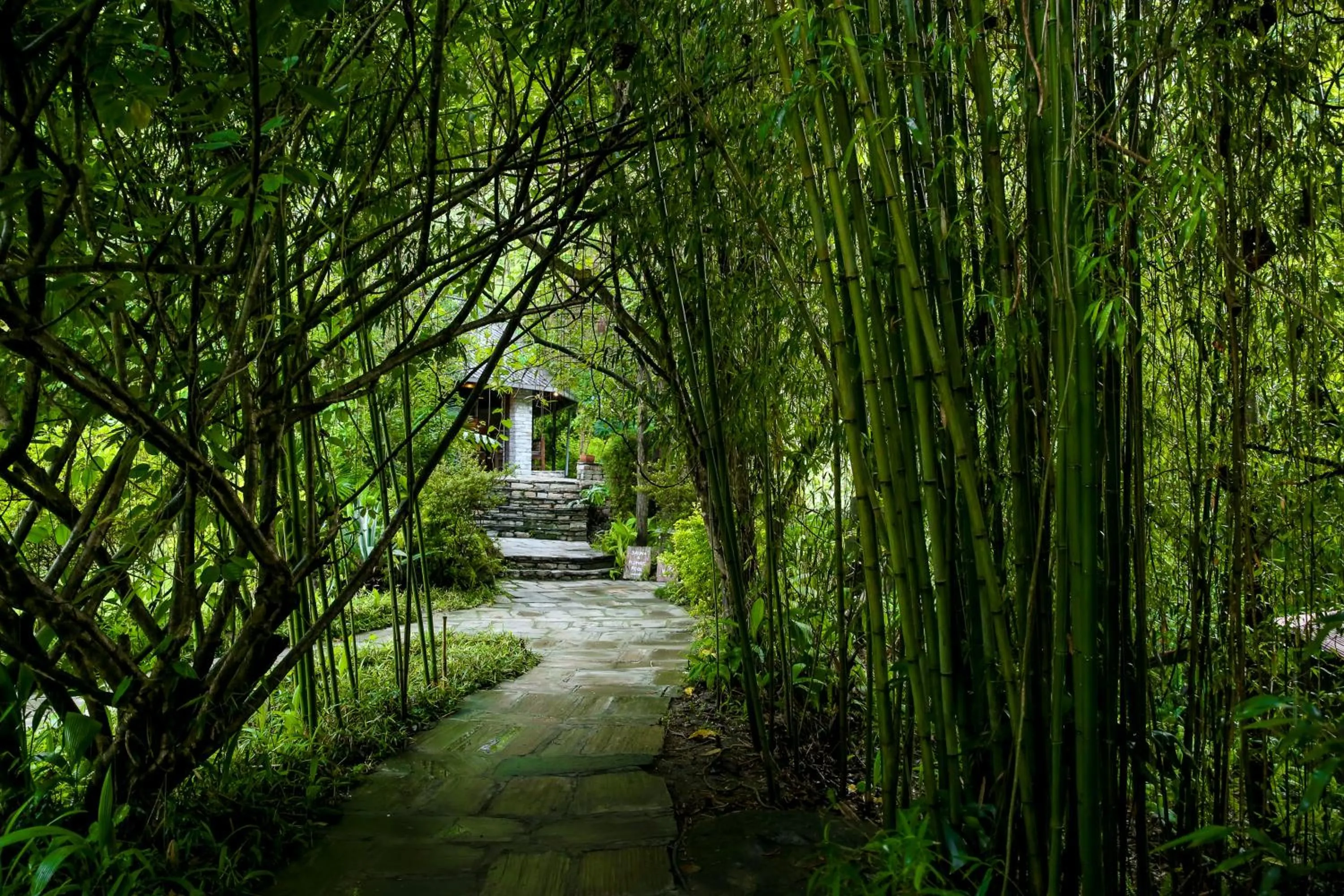 Restaurant/places to eat in The Last Resort - Safari Tent