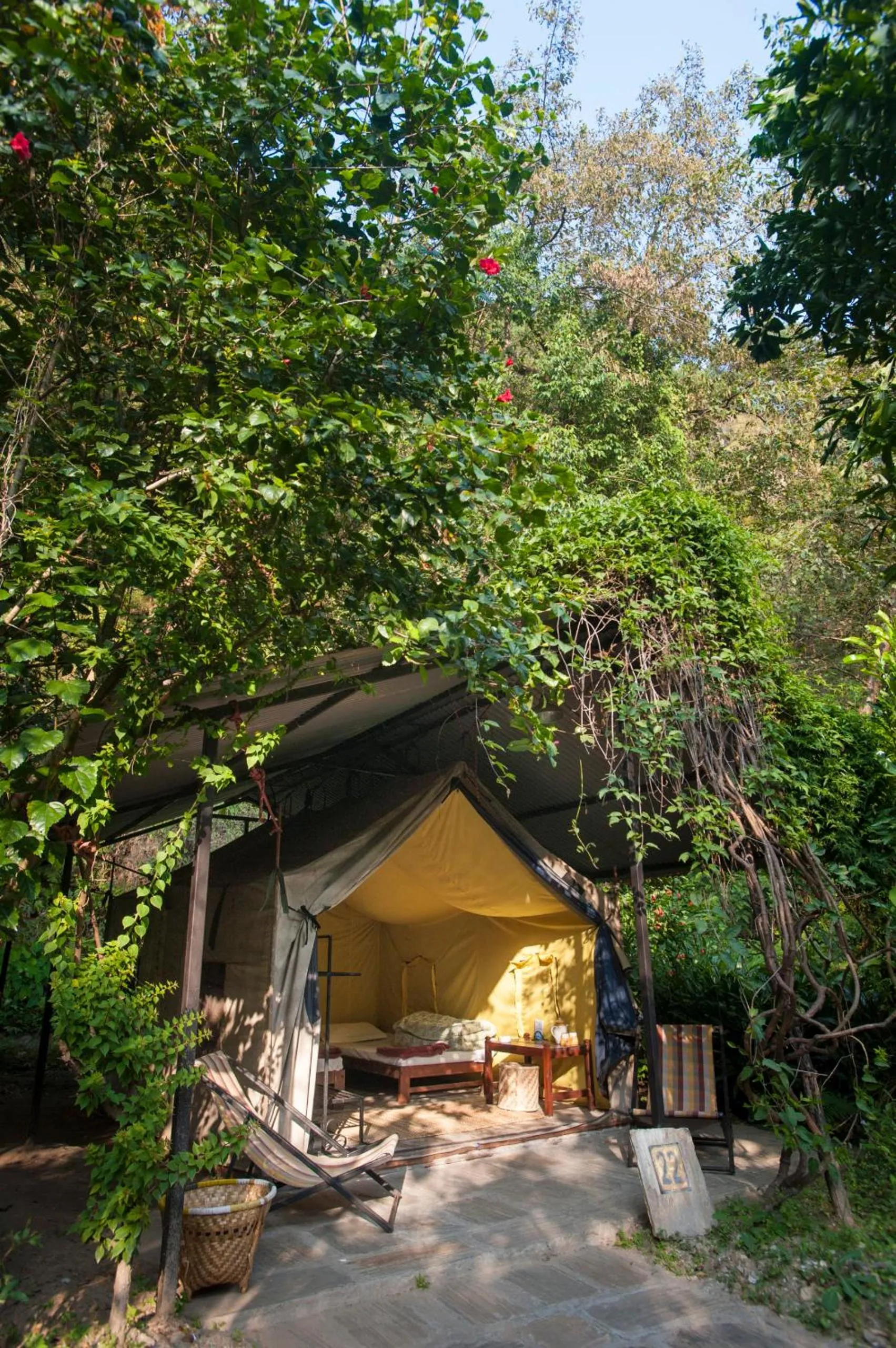 Garden in The Last Resort - Safari Tent