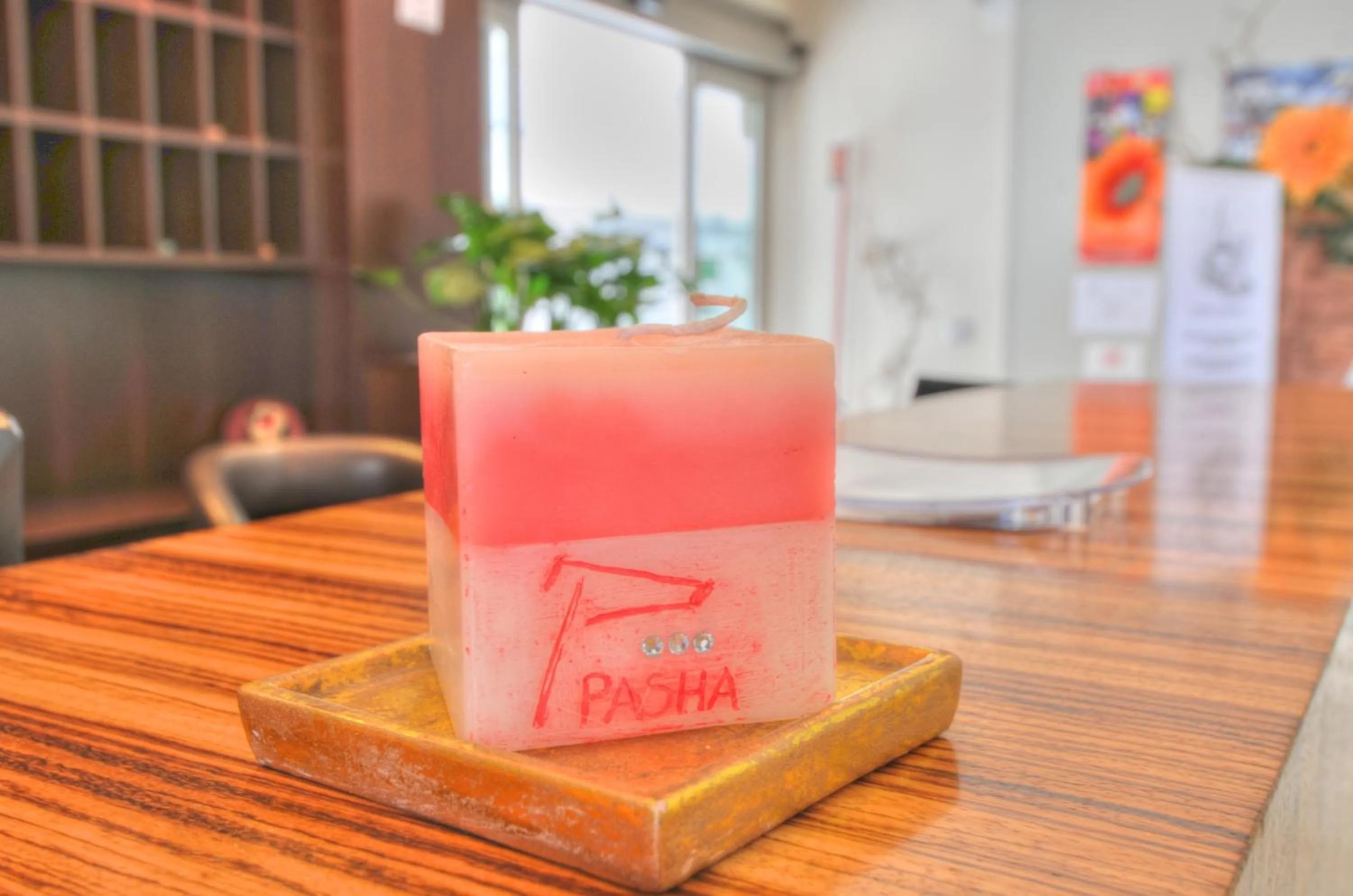 Property logo or sign in Hotel Pasha