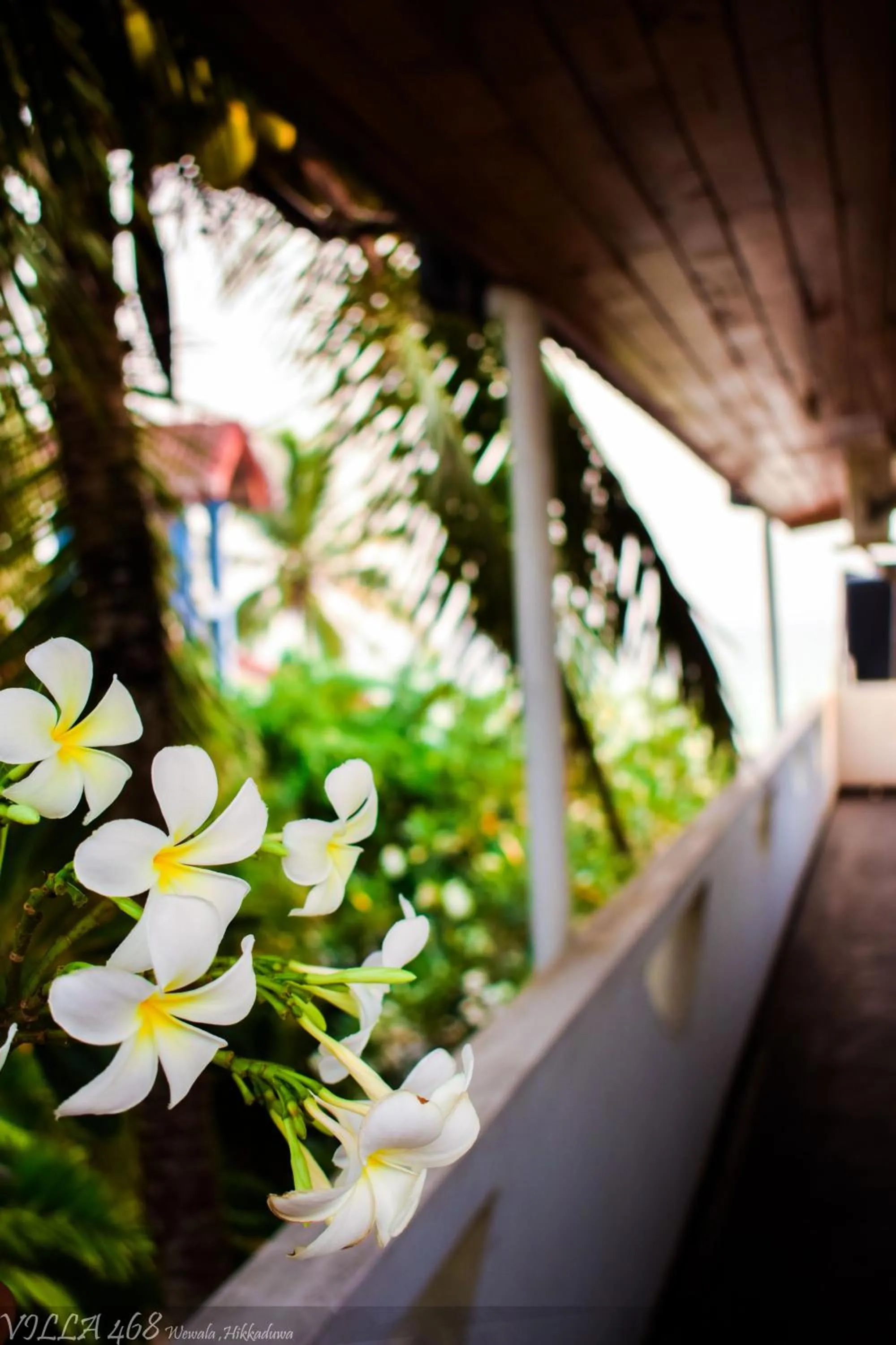 Villa 468 - Hikkaduwa