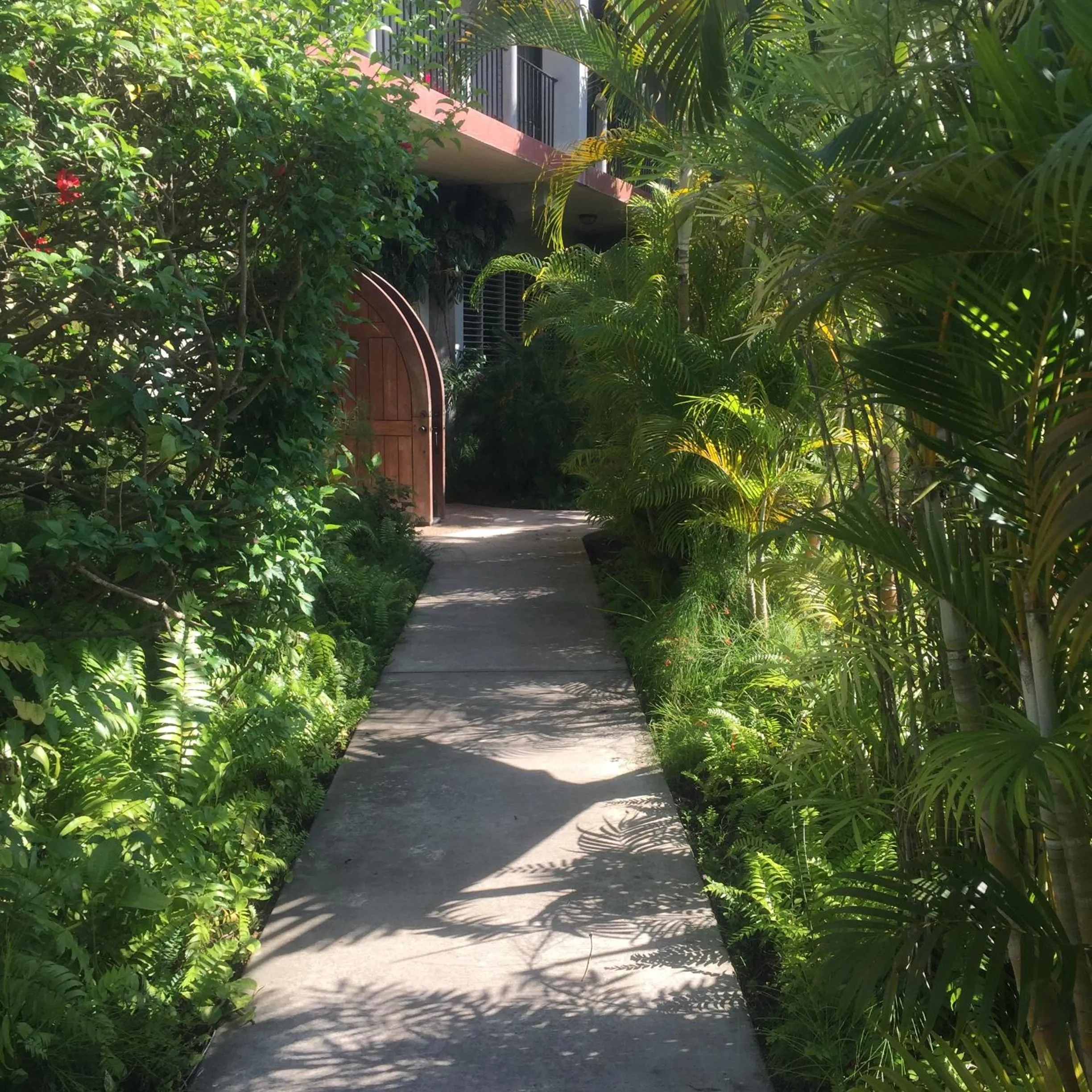 Garden in Almond Tree Hotel Resort