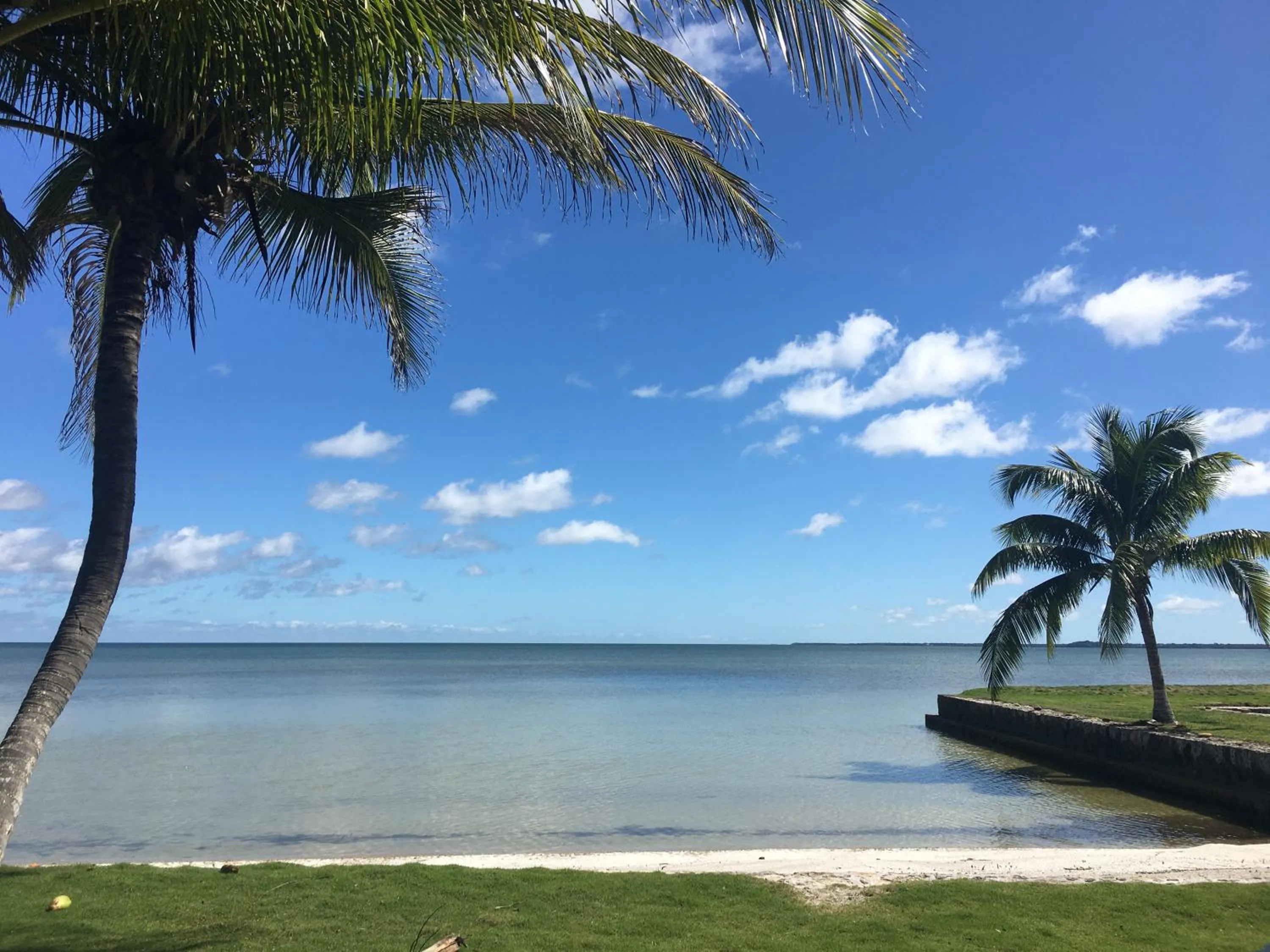 Beach in Almond Tree Hotel Resort