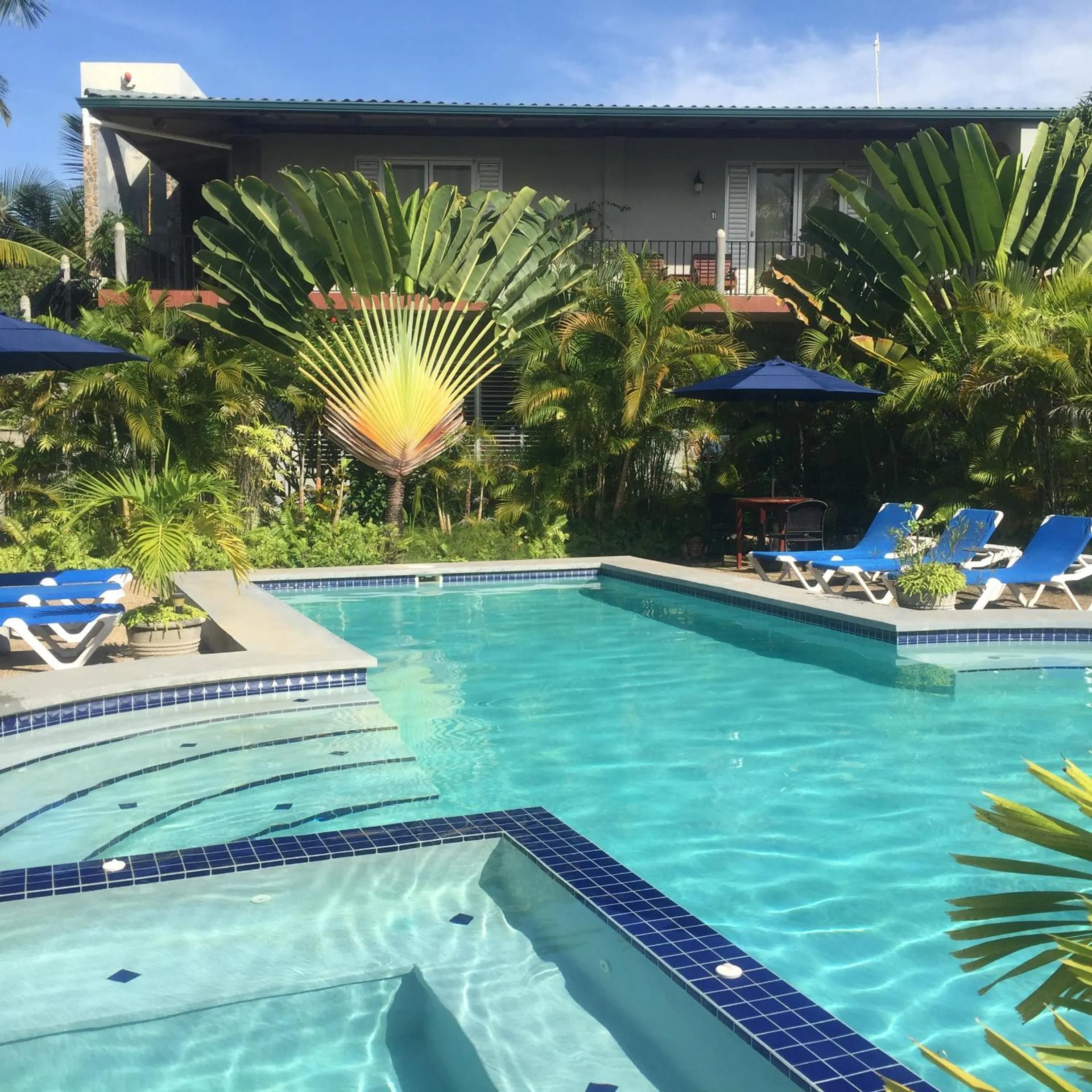 Swimming pool in Almond Tree Hotel Resort