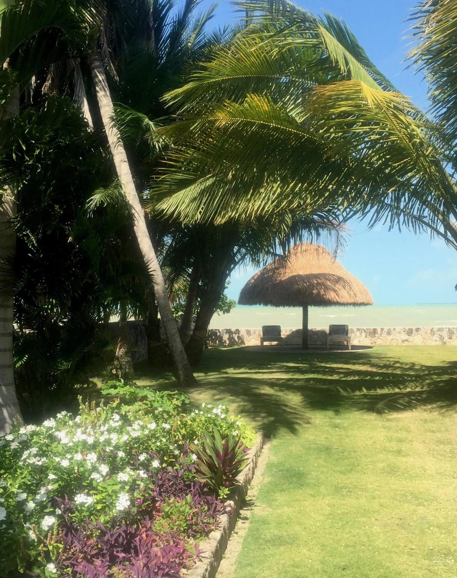 Garden in Almond Tree Hotel Resort