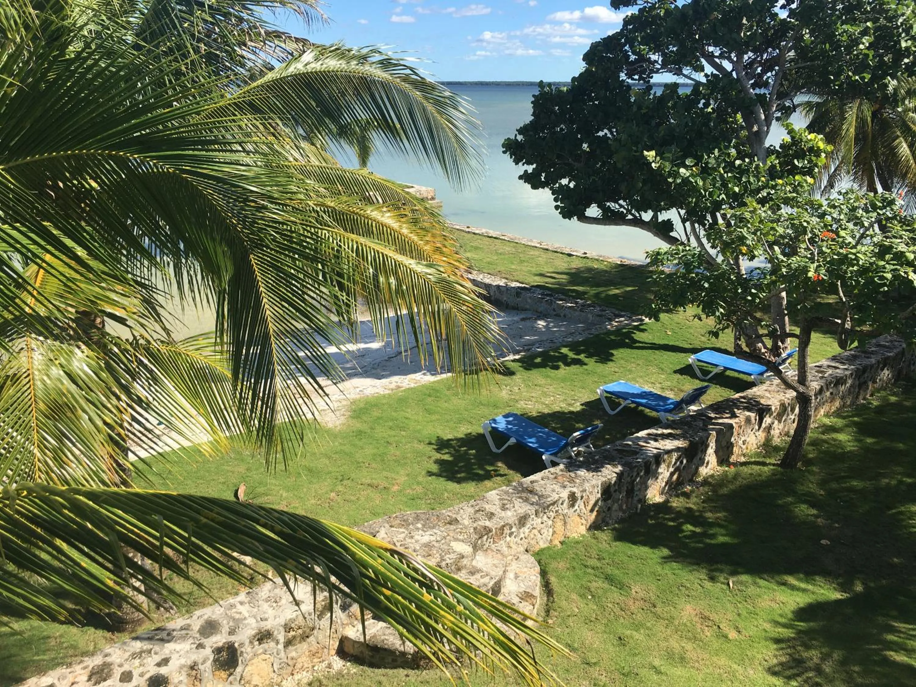 Beach in Almond Tree Hotel Resort
