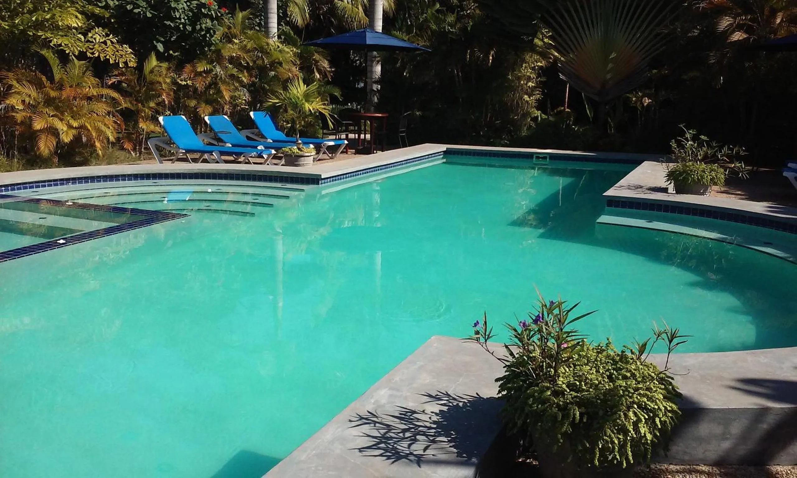 Swimming pool in Almond Tree Hotel Resort