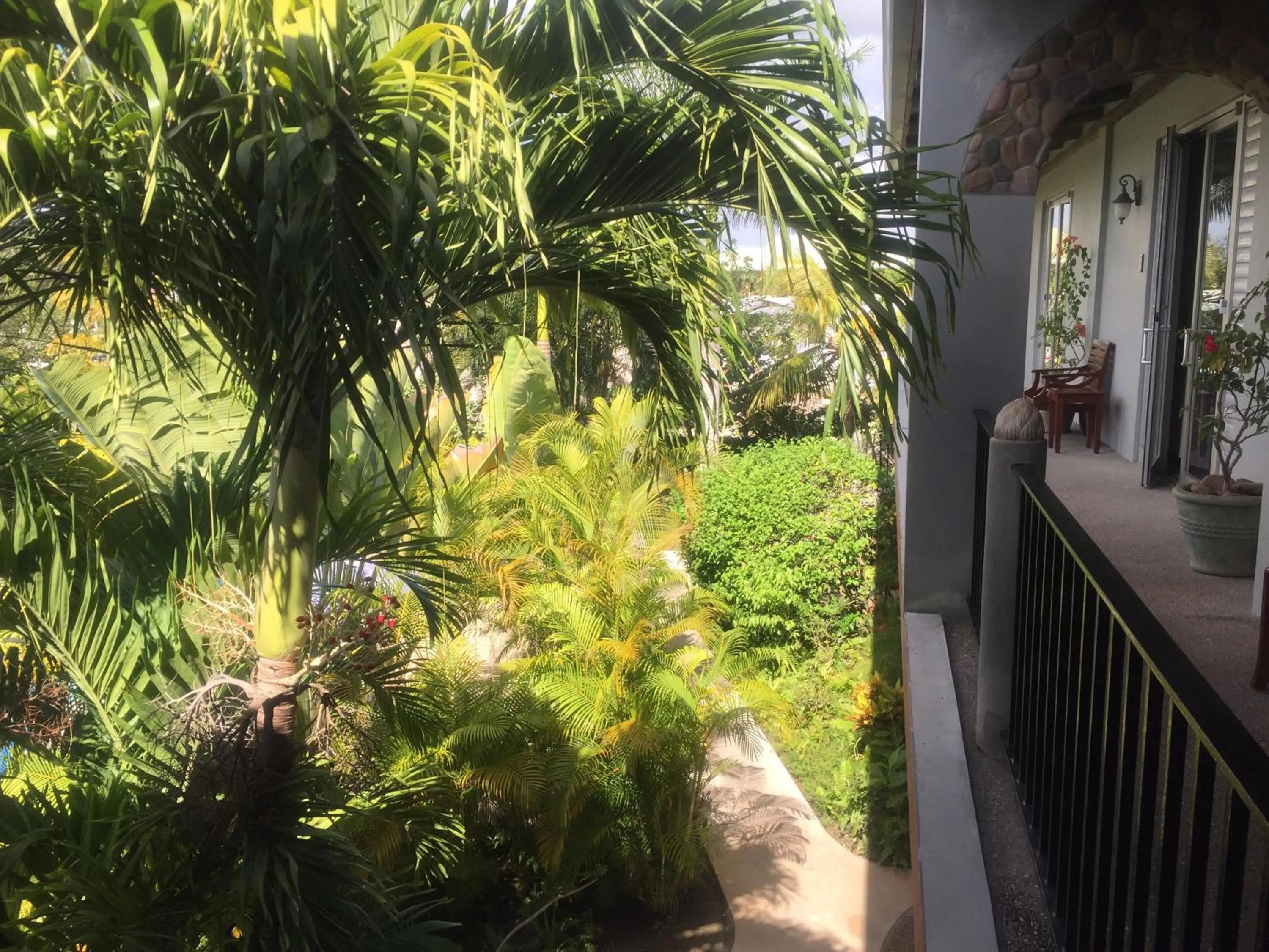 Garden view in Almond Tree Hotel Resort