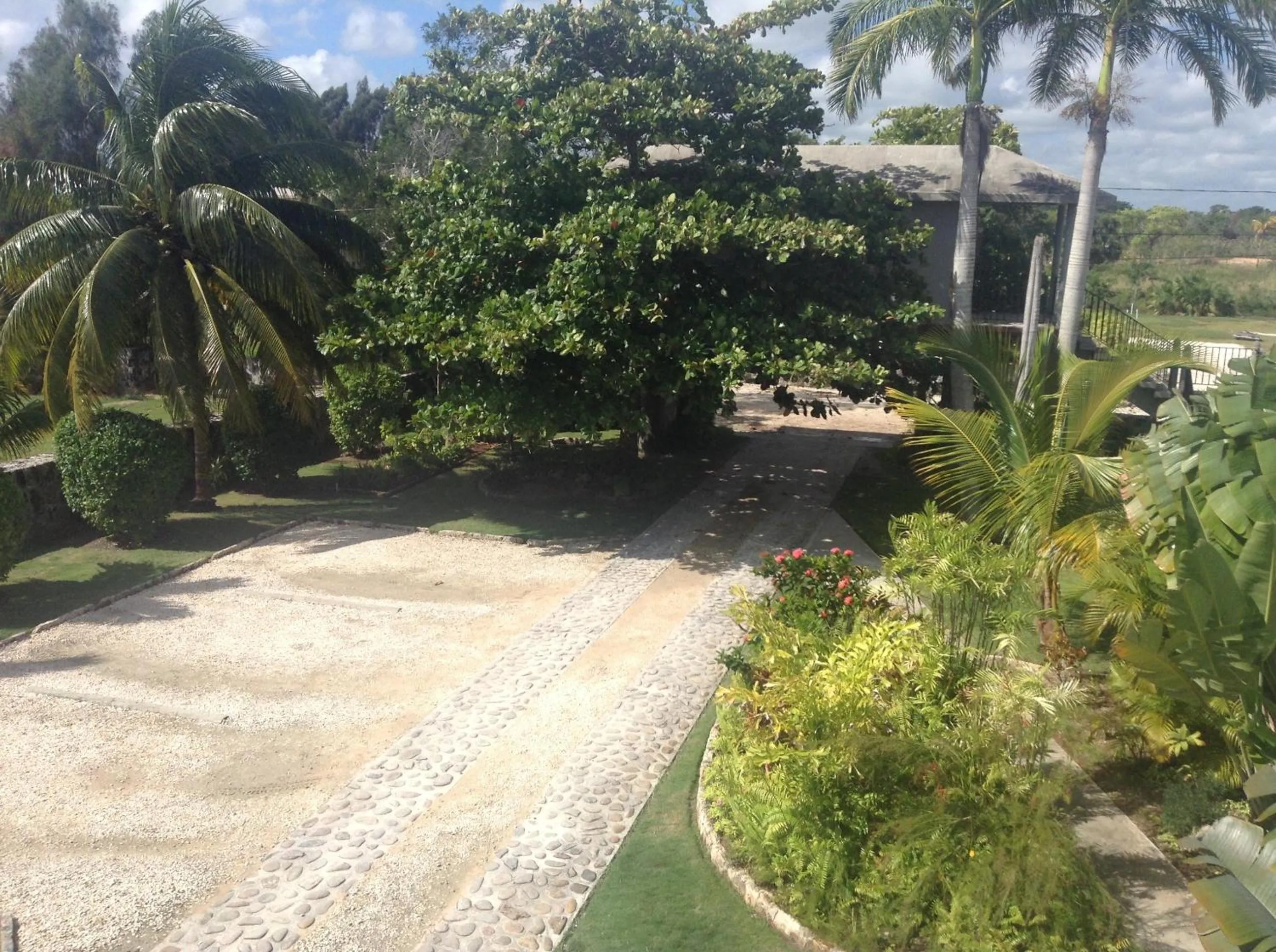 Garden in Almond Tree Hotel Resort