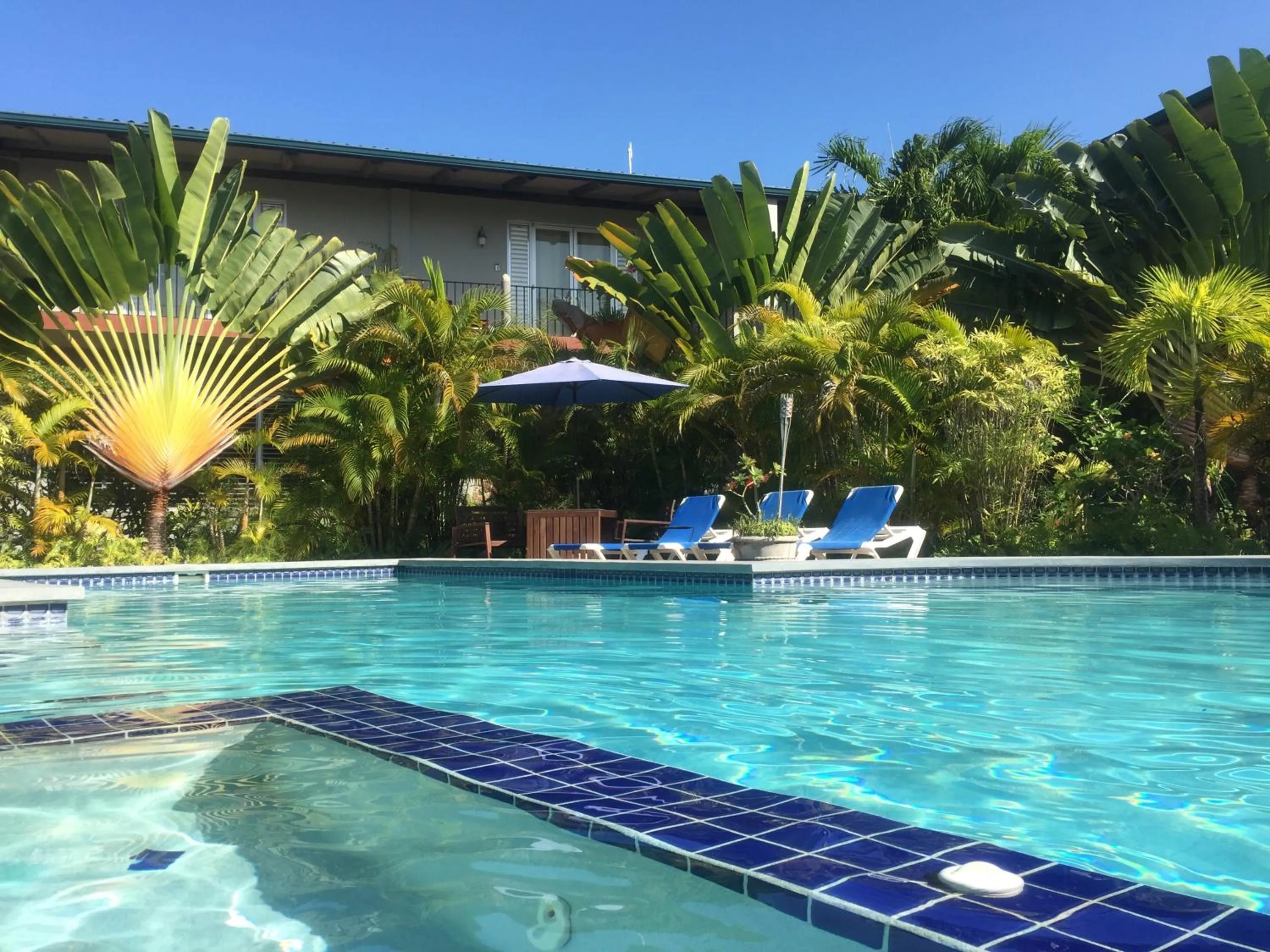 Swimming pool in Almond Tree Hotel Resort