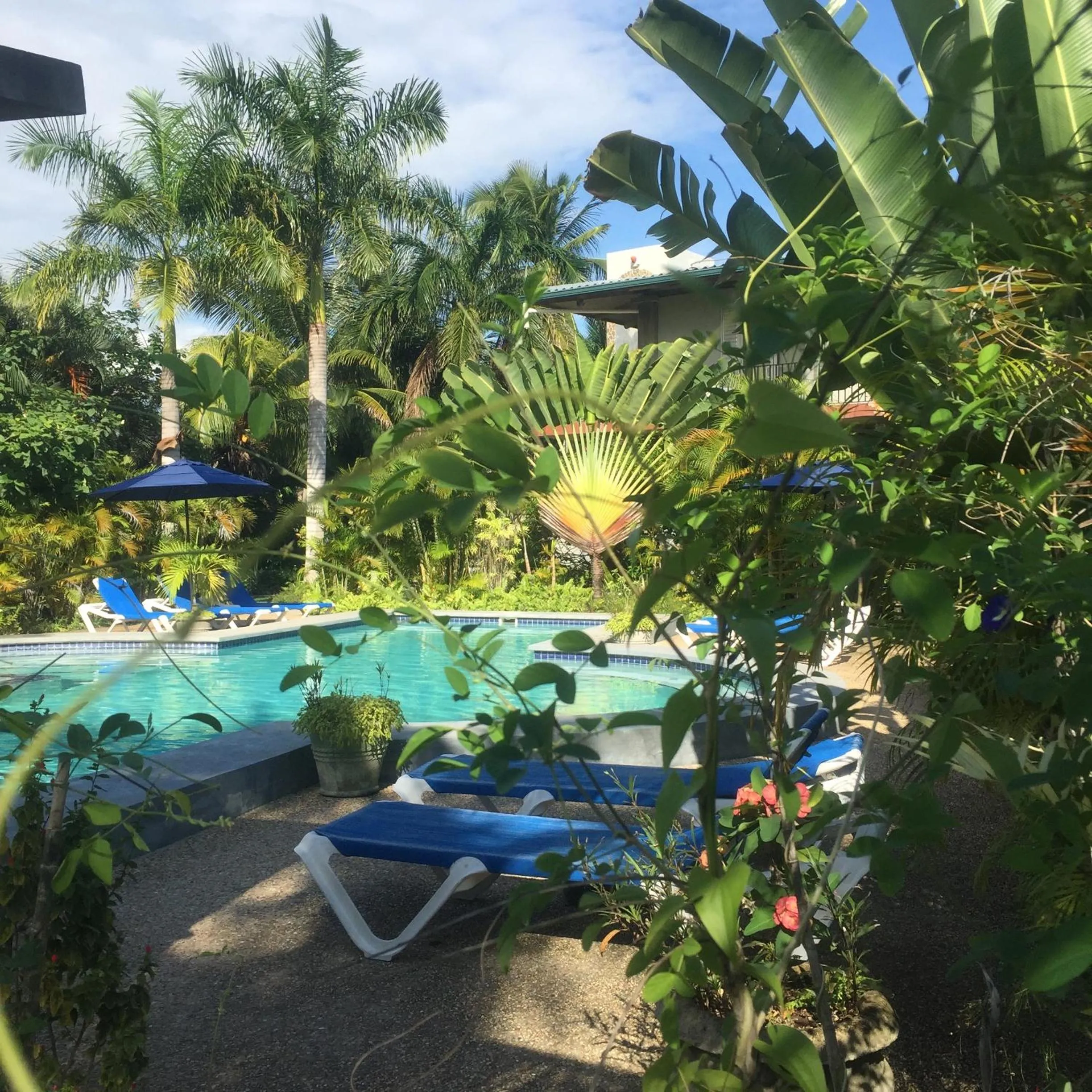 Patio in Almond Tree Hotel Resort