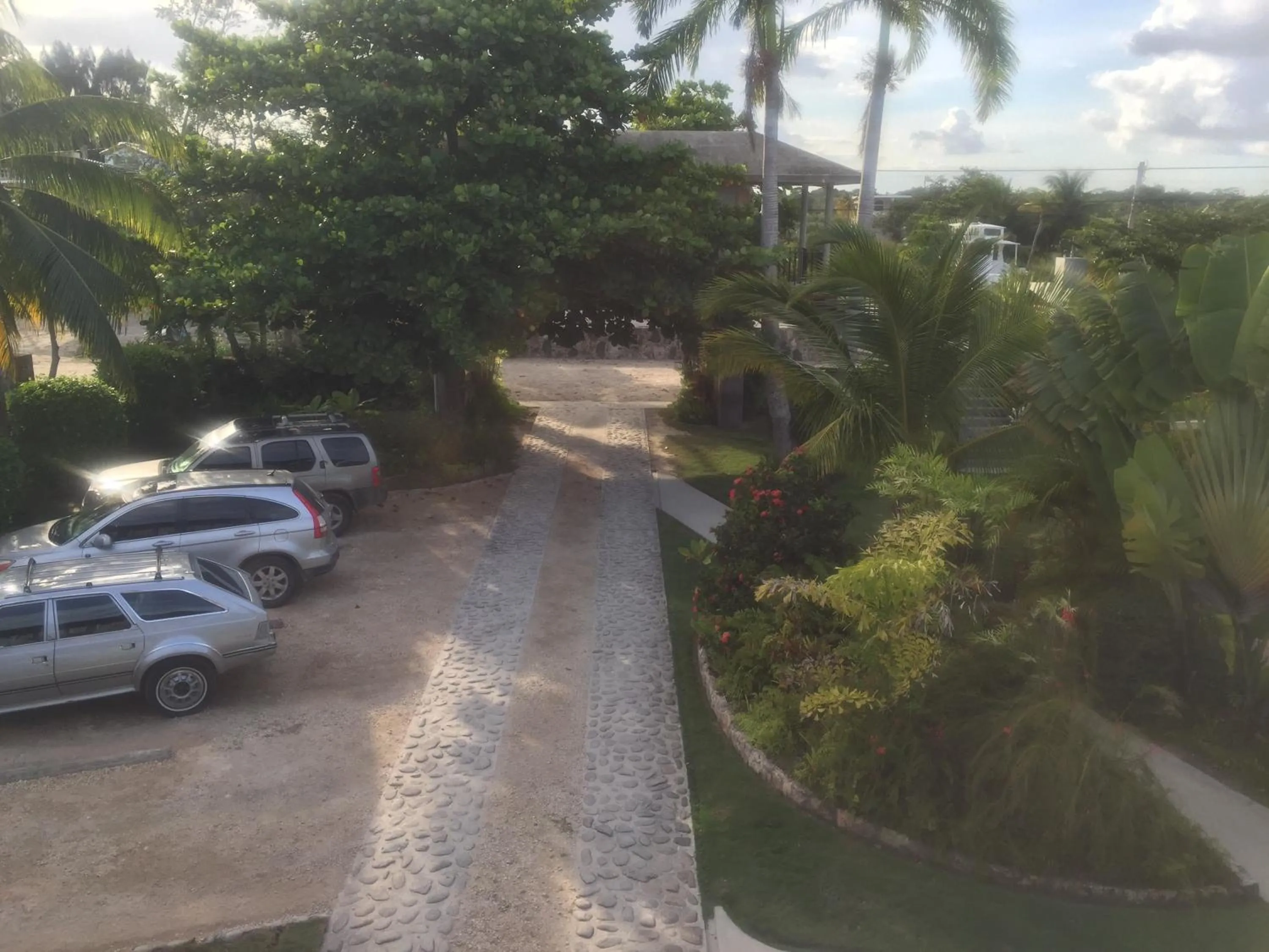 View (from property/room) in Almond Tree Hotel Resort