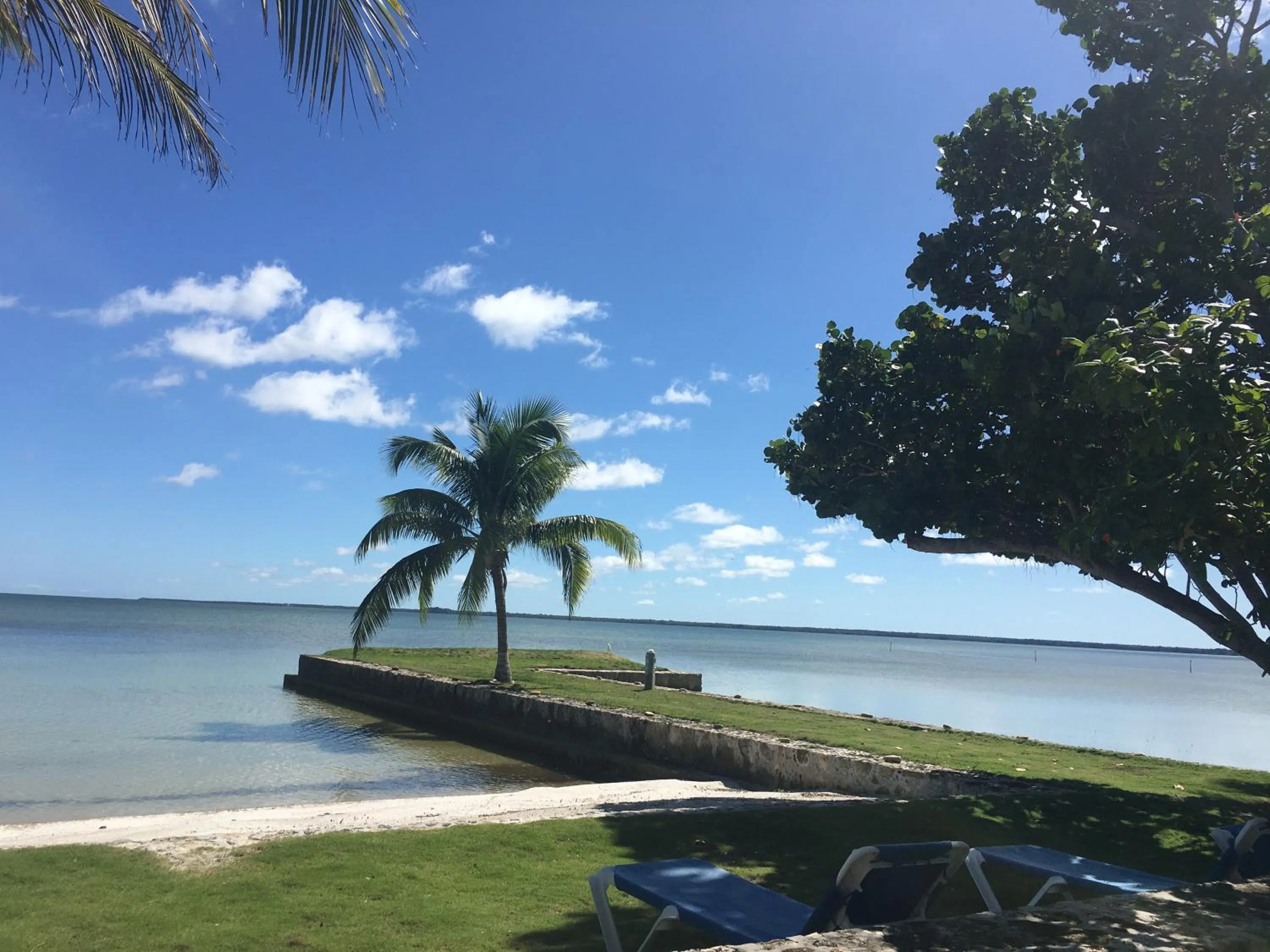 Beach in Almond Tree Hotel Resort