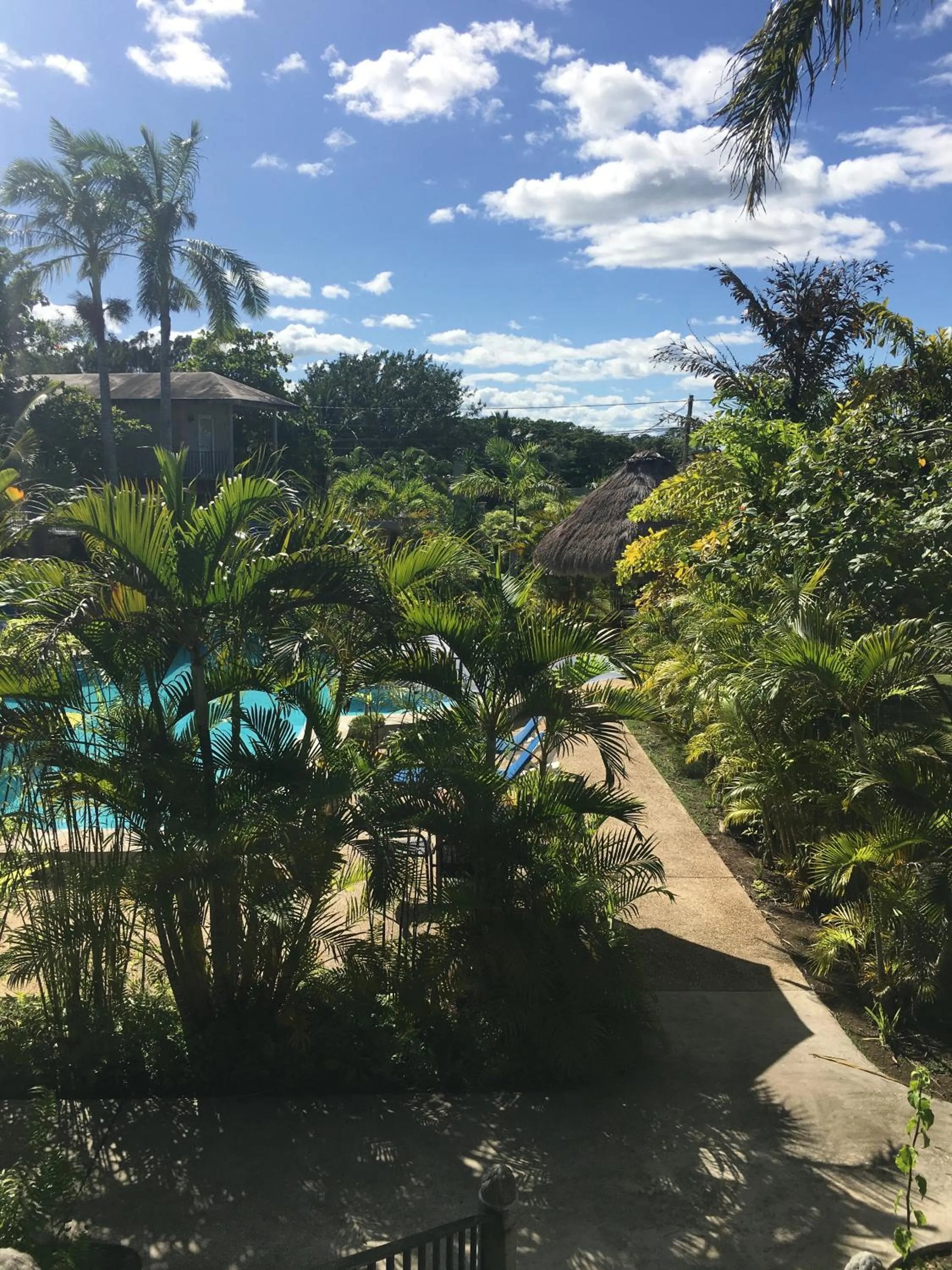 Garden in Almond Tree Hotel Resort