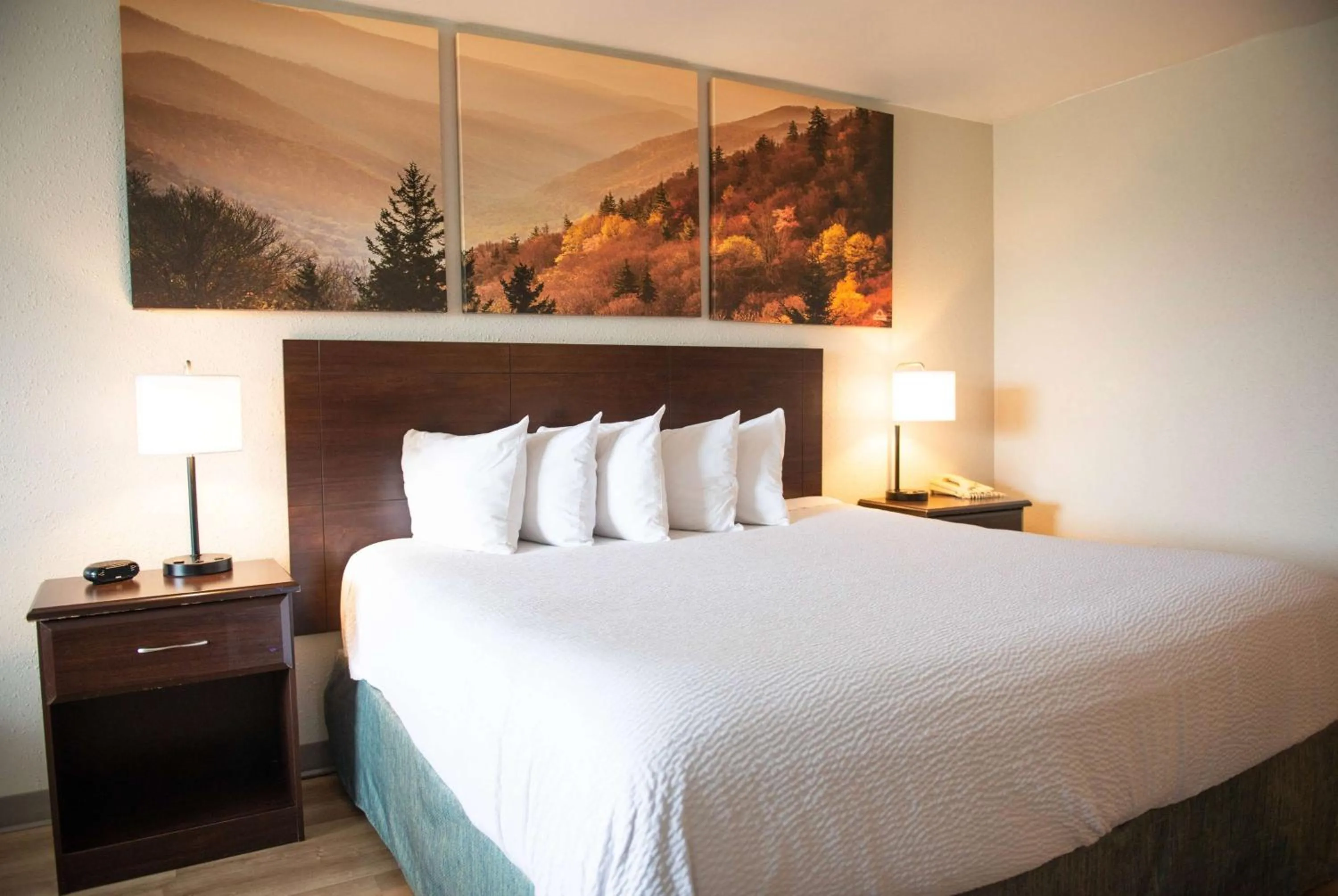 Photo of the whole room, Bed in Days Inn by Wyndham Waynesboro