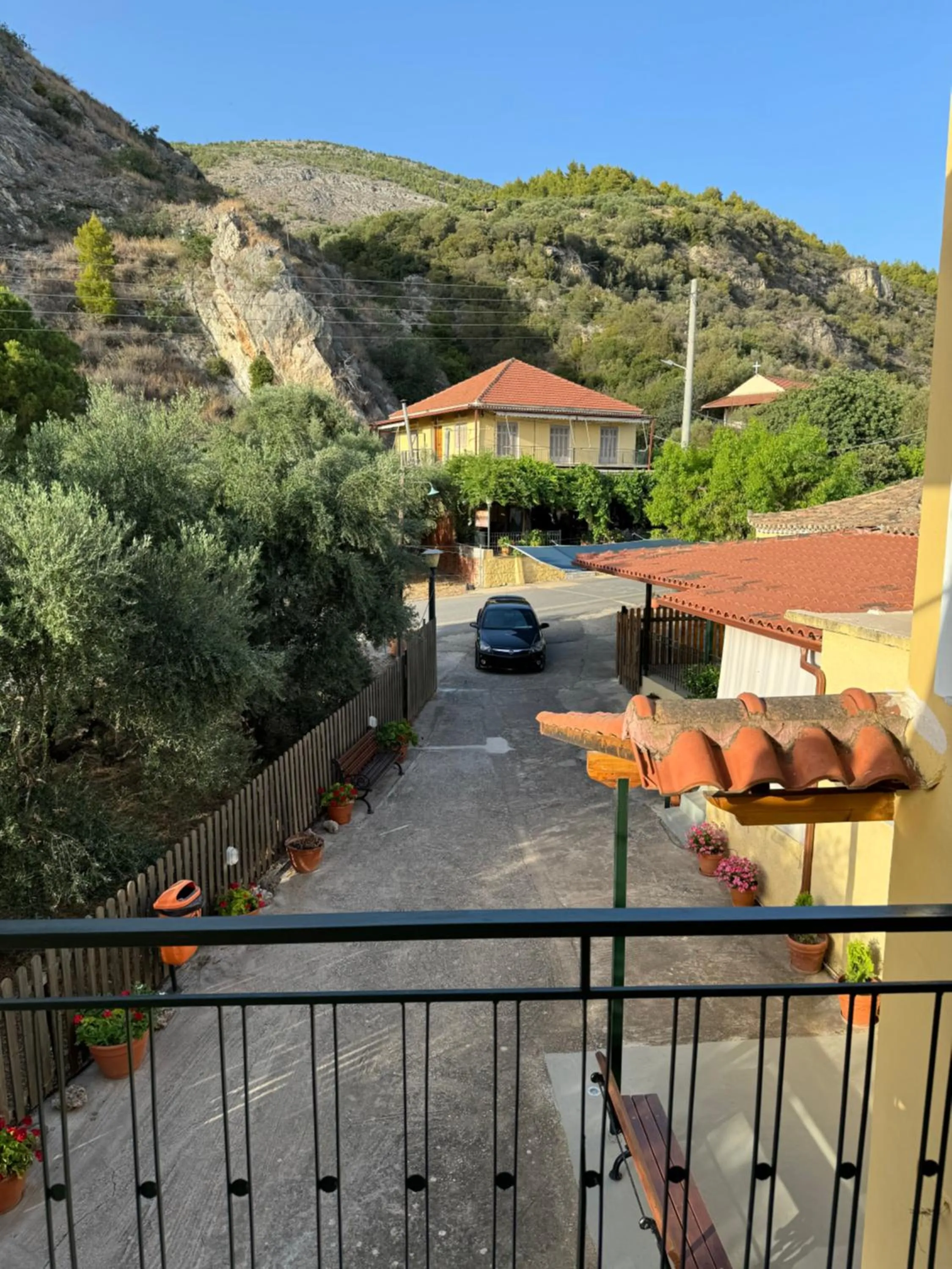 View (from property/room) in Hotel Jenny