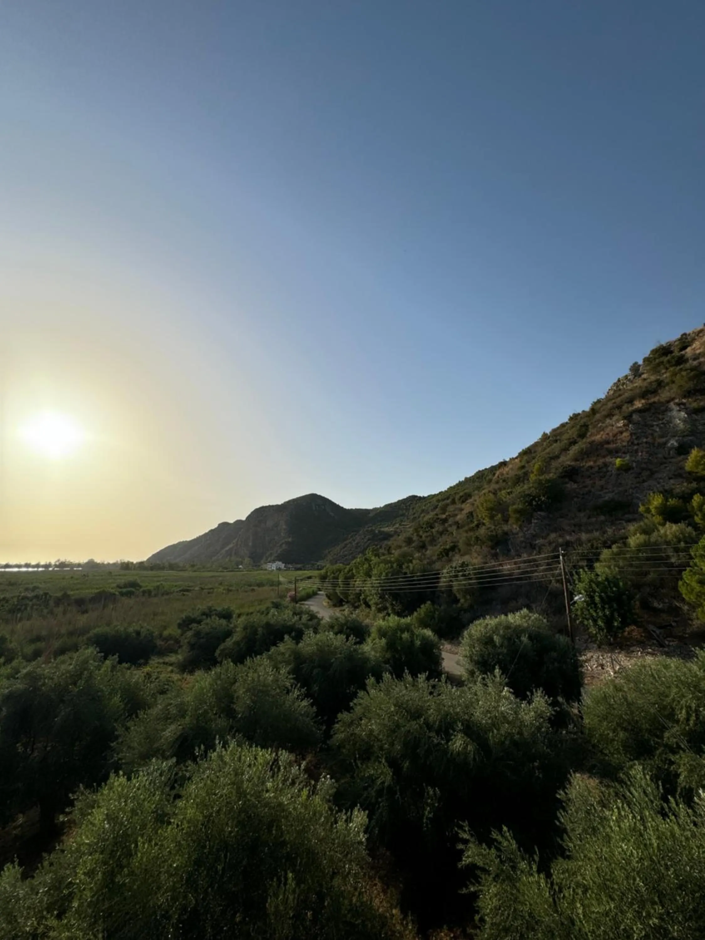 Natural landscape in Hotel Jenny