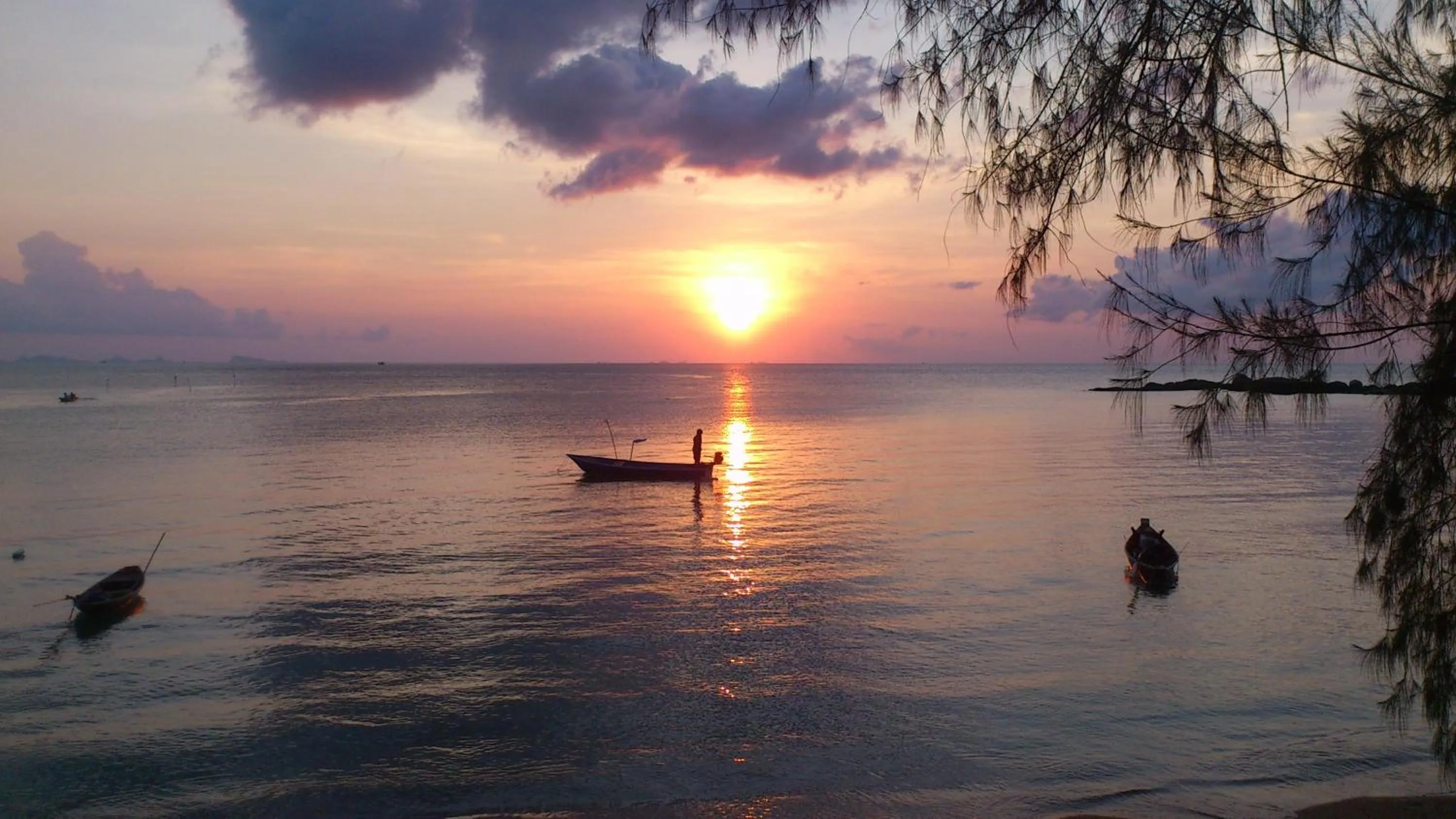 Other in Haad Chao Phao Resort