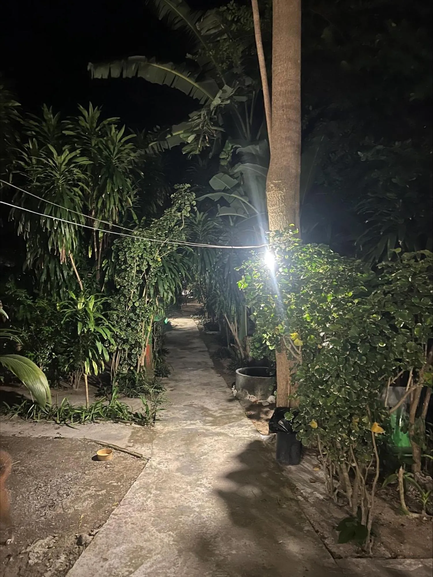 Haad Chao Phao Resort