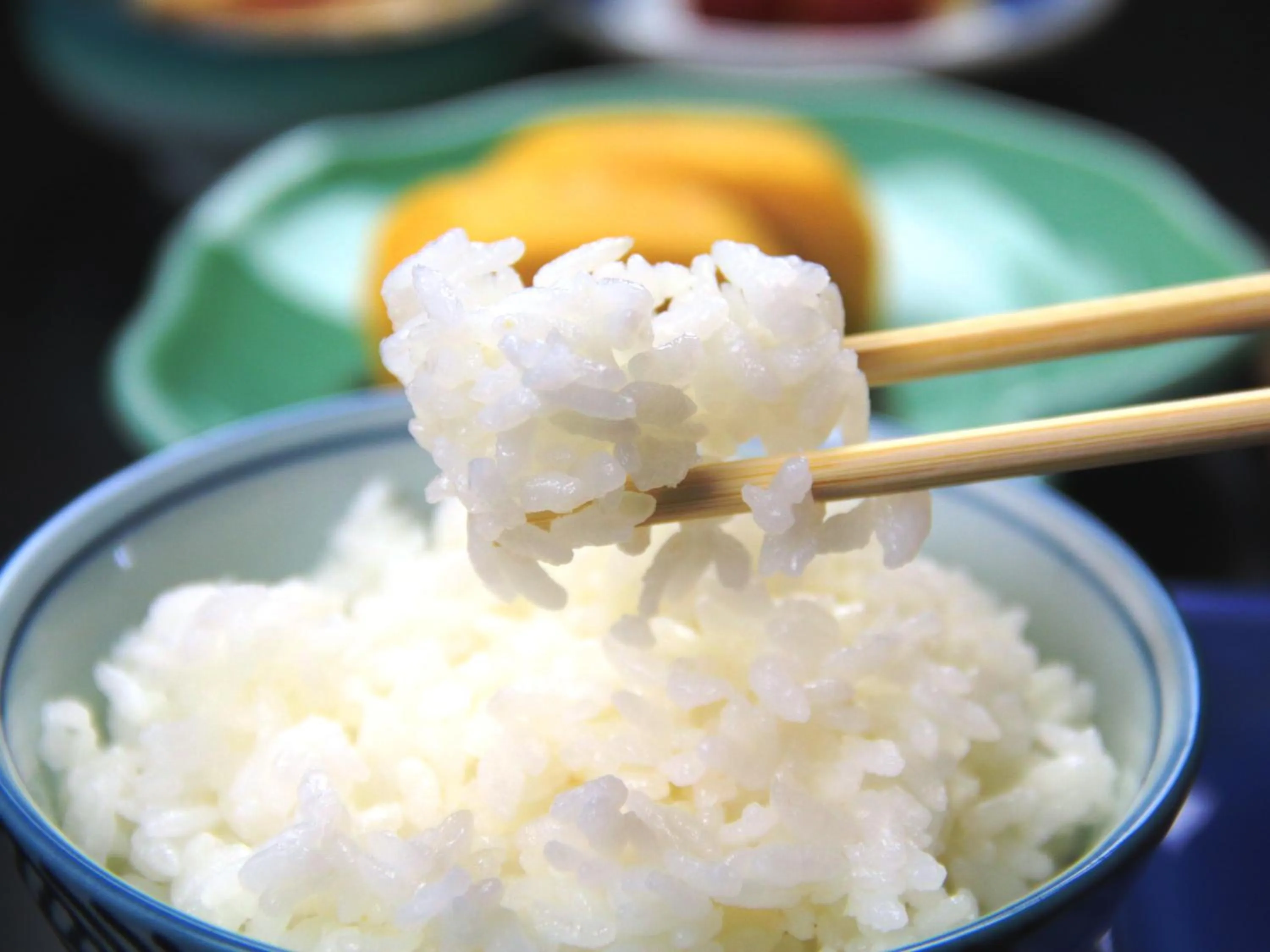 Food in Hotel Grace Hakuba