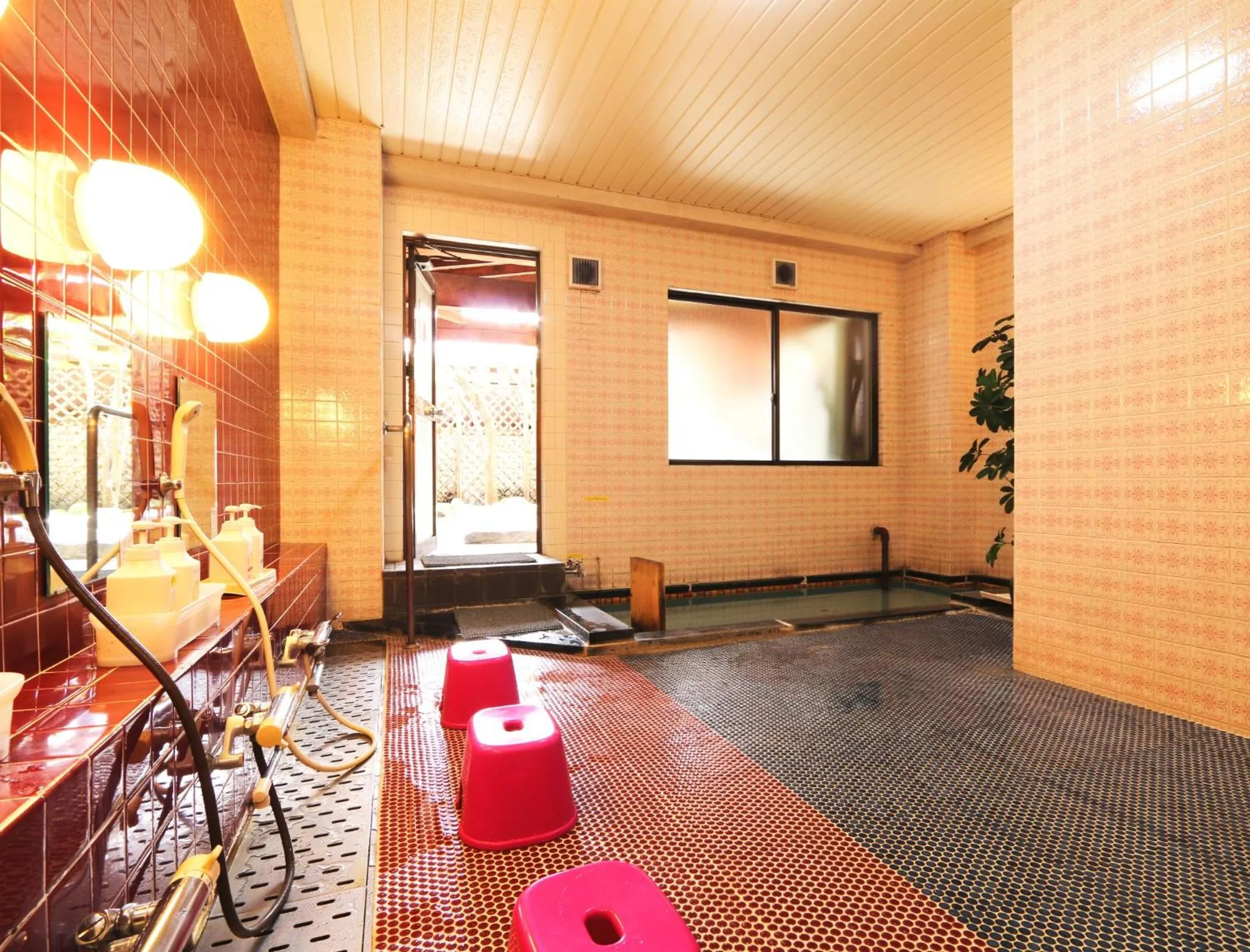 Hot Spring Bath in Hotel Grace Hakuba