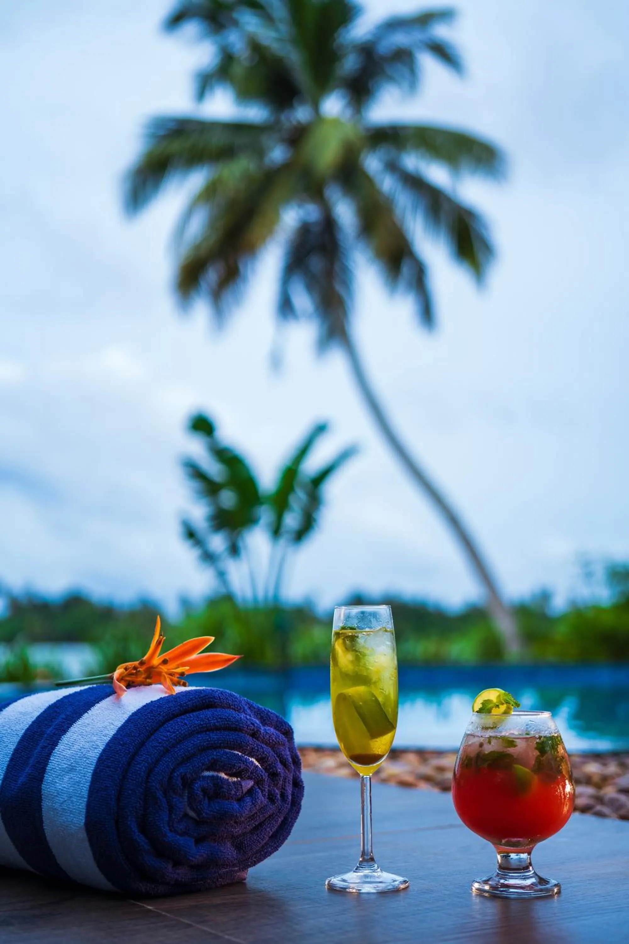 Drinks in Vedic Village Retreat Kodungallur