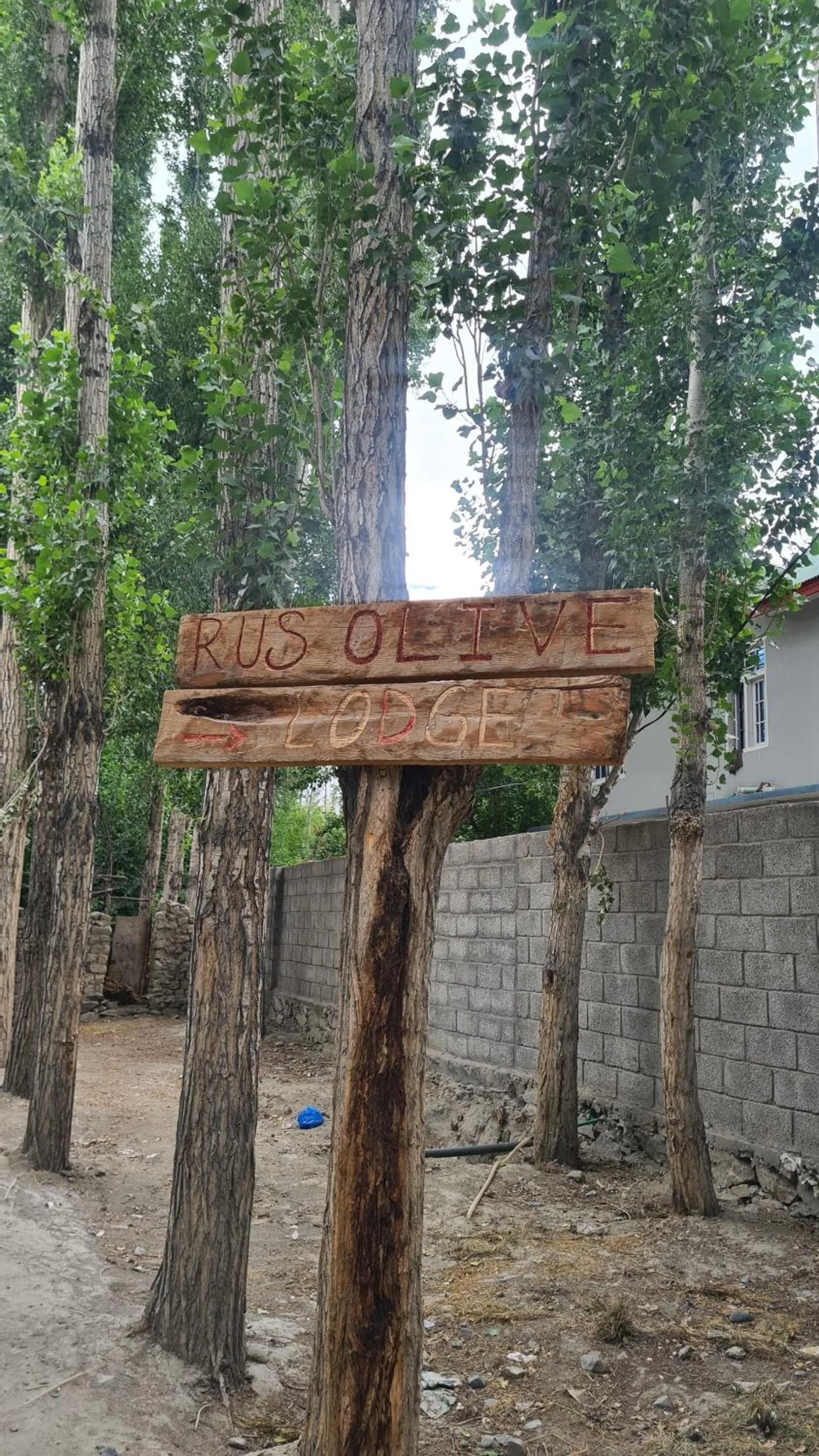 Facade/entrance in Rus Olive Lodge Skardu