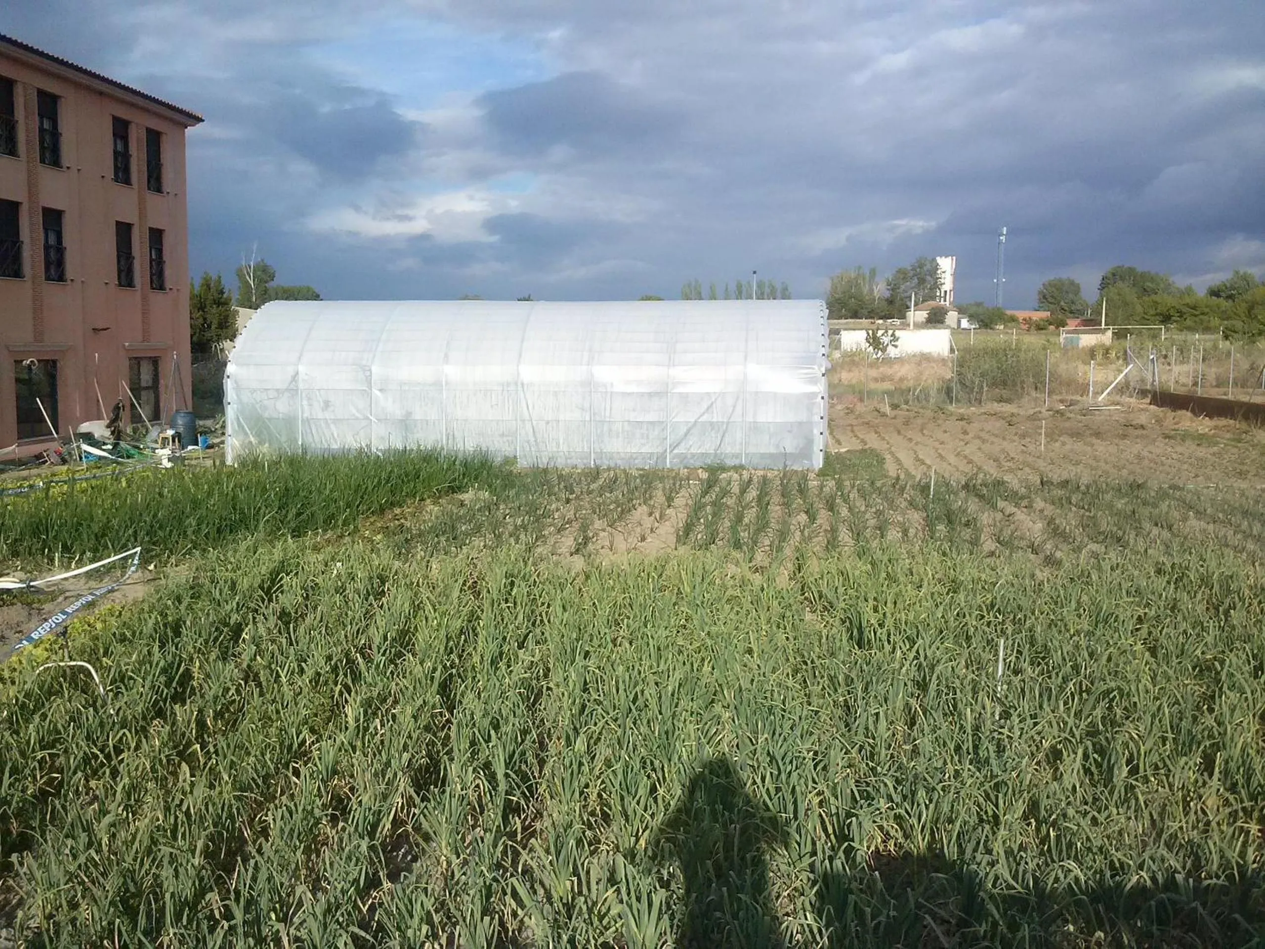 Natural landscape in Hotel Casa Aurelia