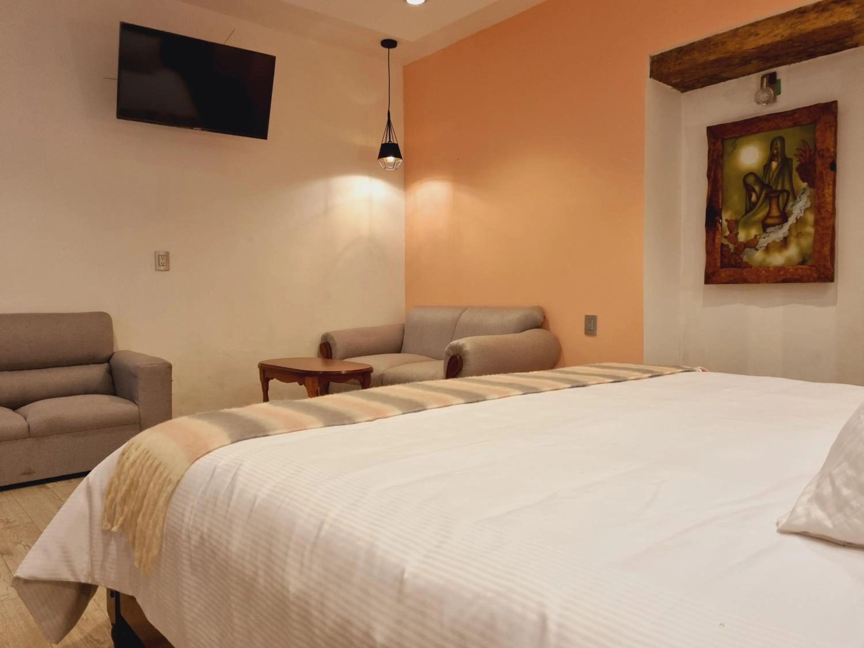 Bed in Hotel Barrio Antiguo