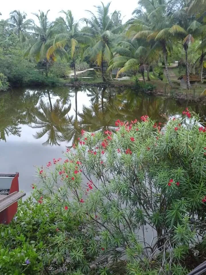 Garden in Lagoonvilla hotel