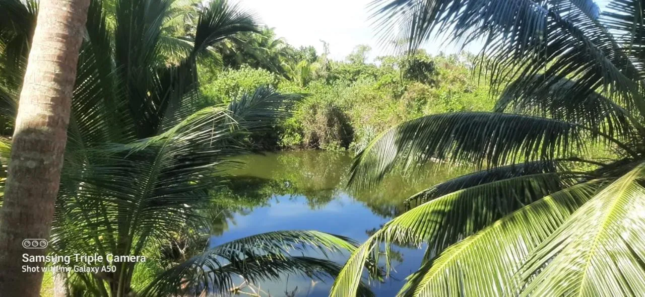 Natural landscape in Lagoonvilla hotel