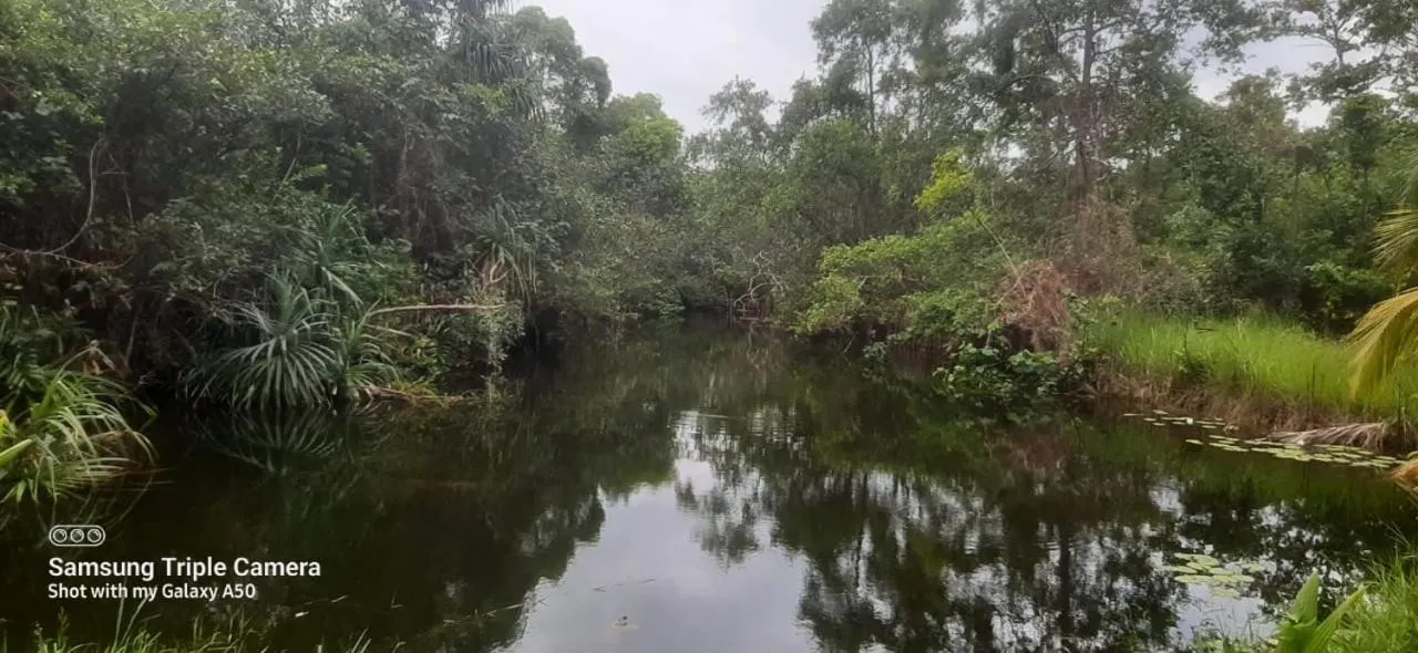 Natural landscape in Lagoonvilla hotel