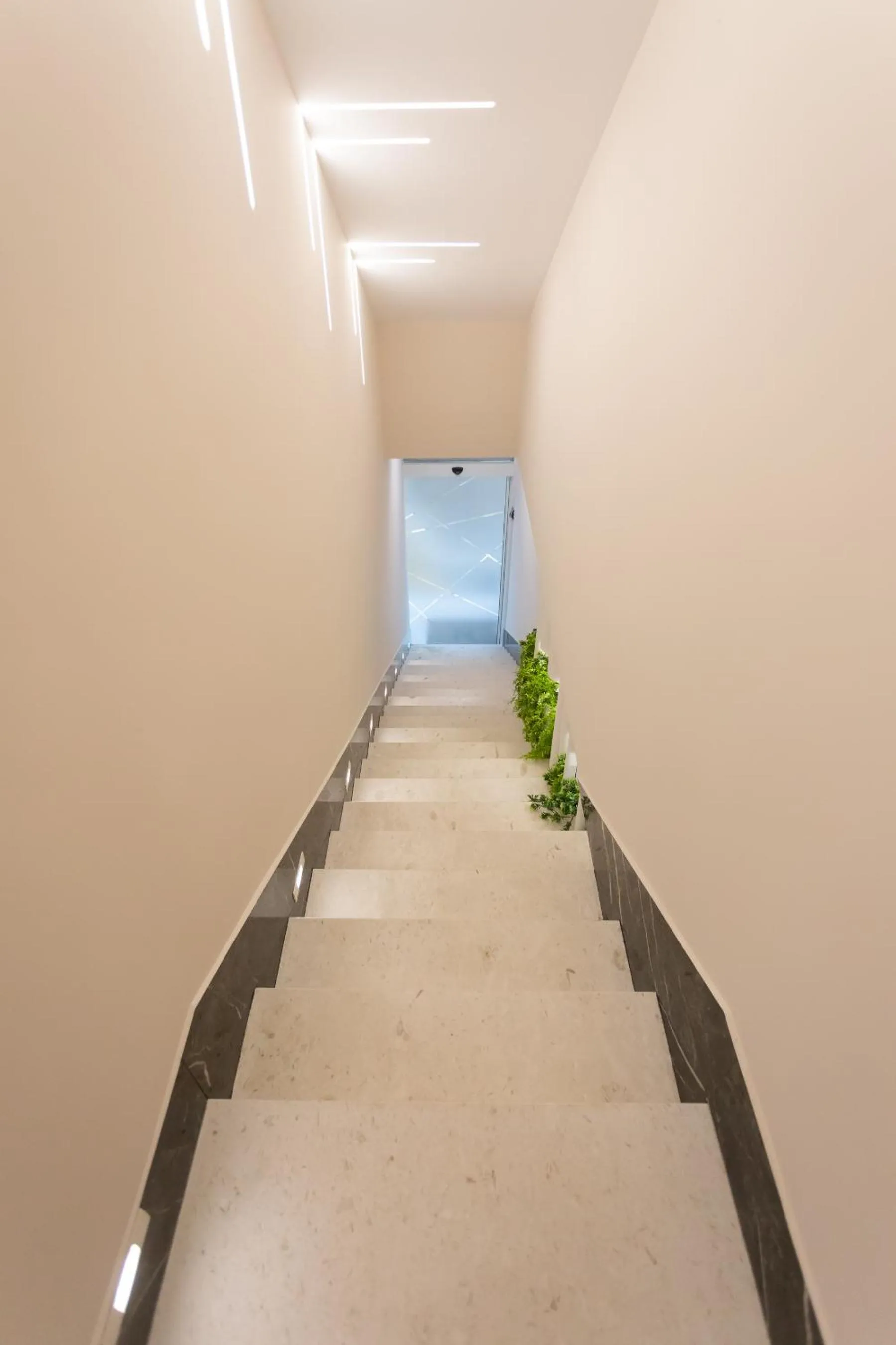 Facade/entrance in Nayel Hotel