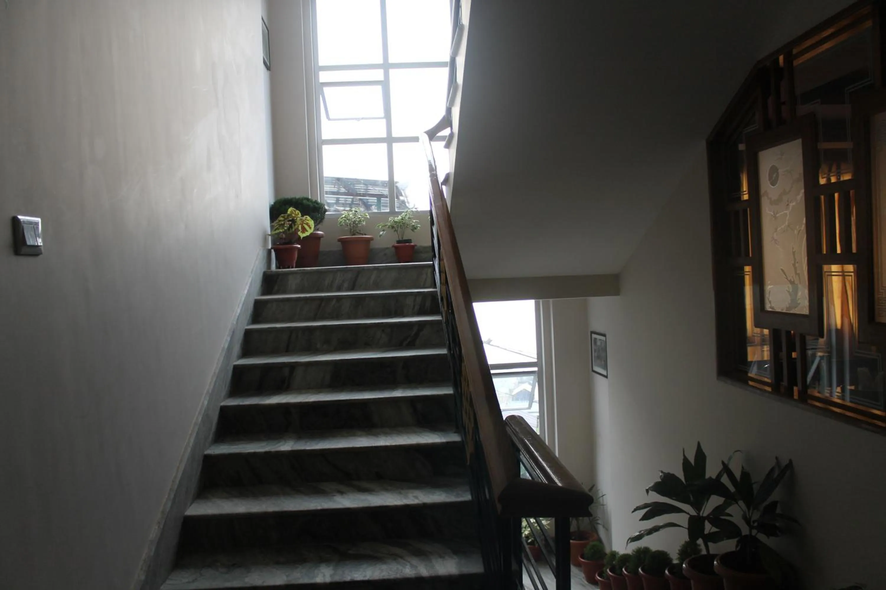 Restaurant/places to eat in Hotel White Yak