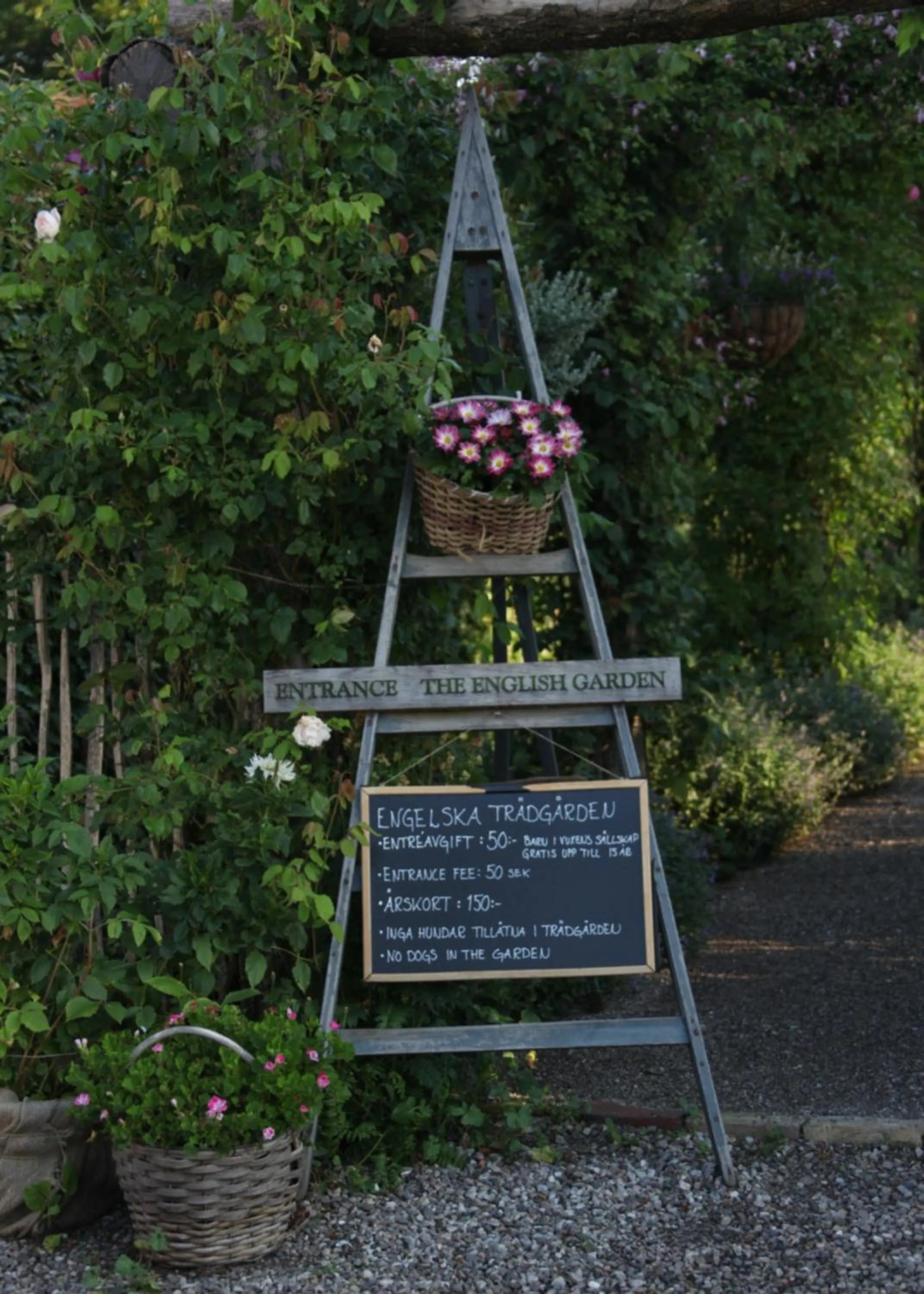 Activities in Svabesholms Kungsgårds B&B och Pensionat Stenshuvud