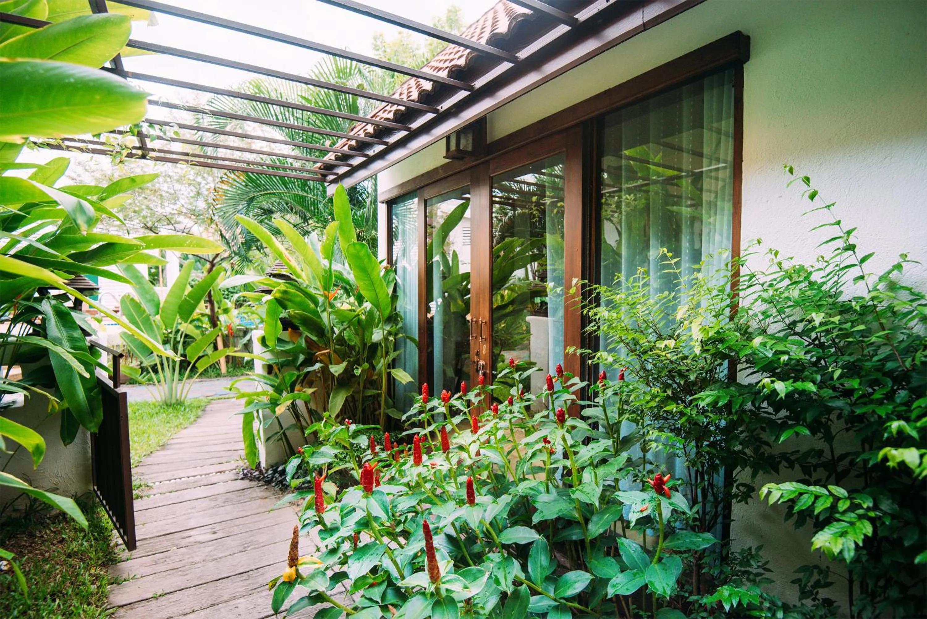 Garden in E-outfitting Boutique Chiang Mai