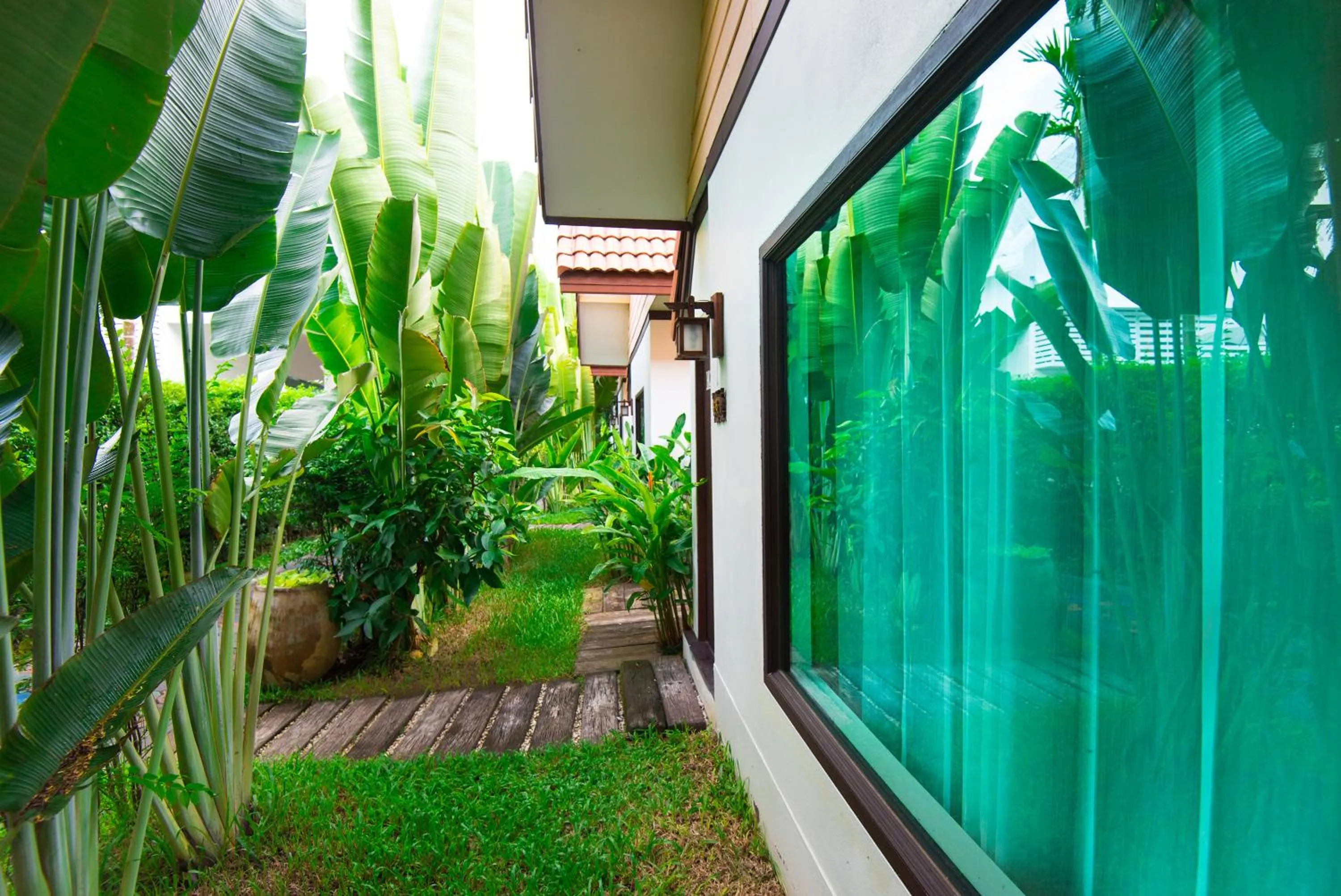 Garden in E-outfitting Boutique Chiang Mai