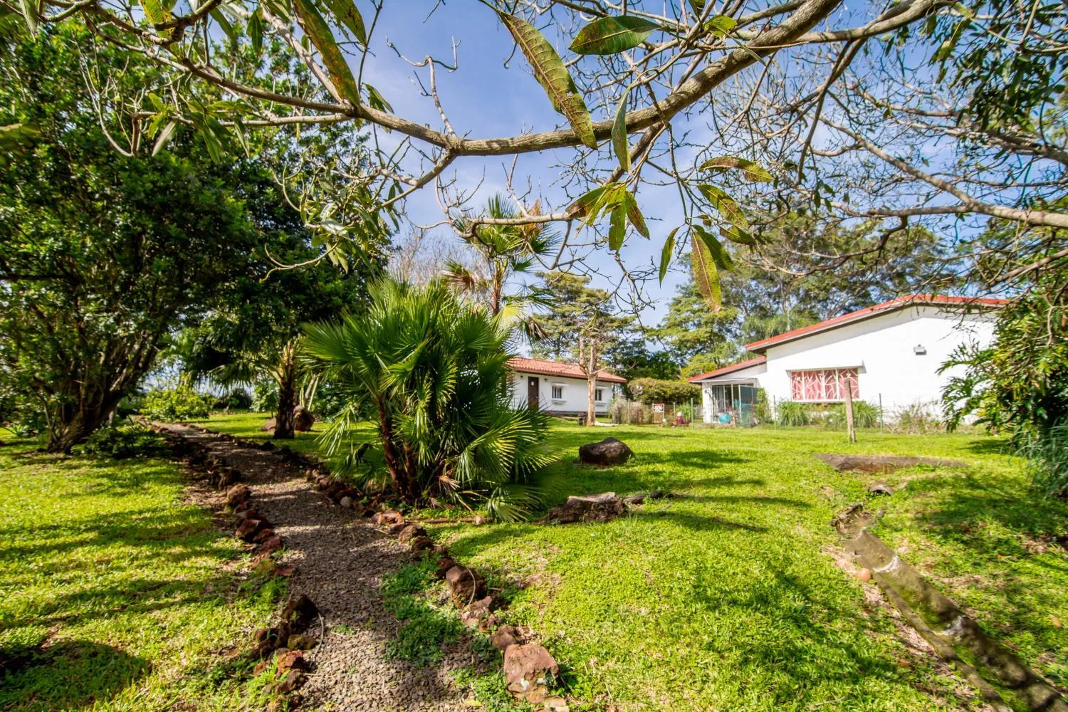 Garden in Villa Margarita