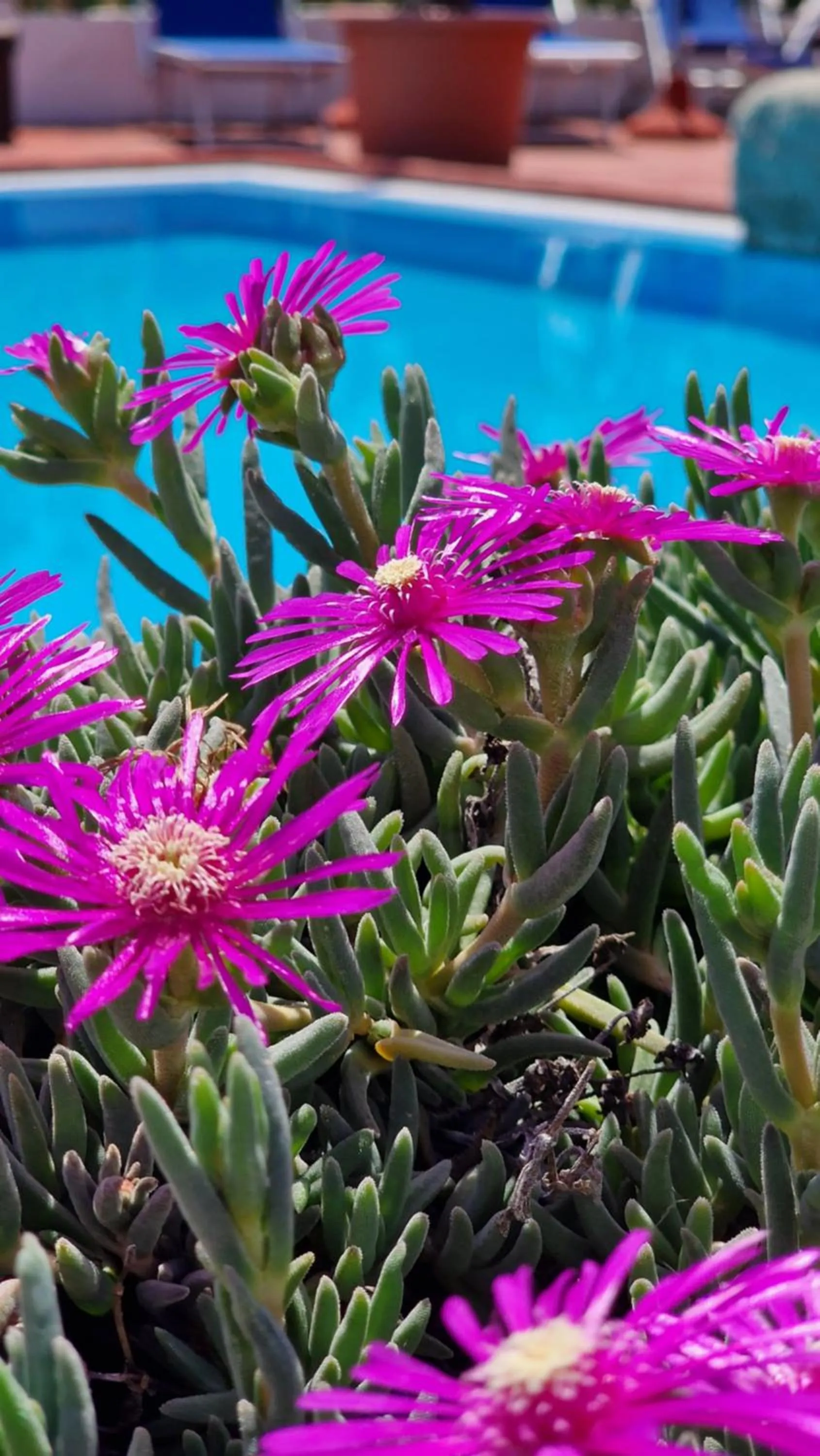 Day in Hotel Bellavista